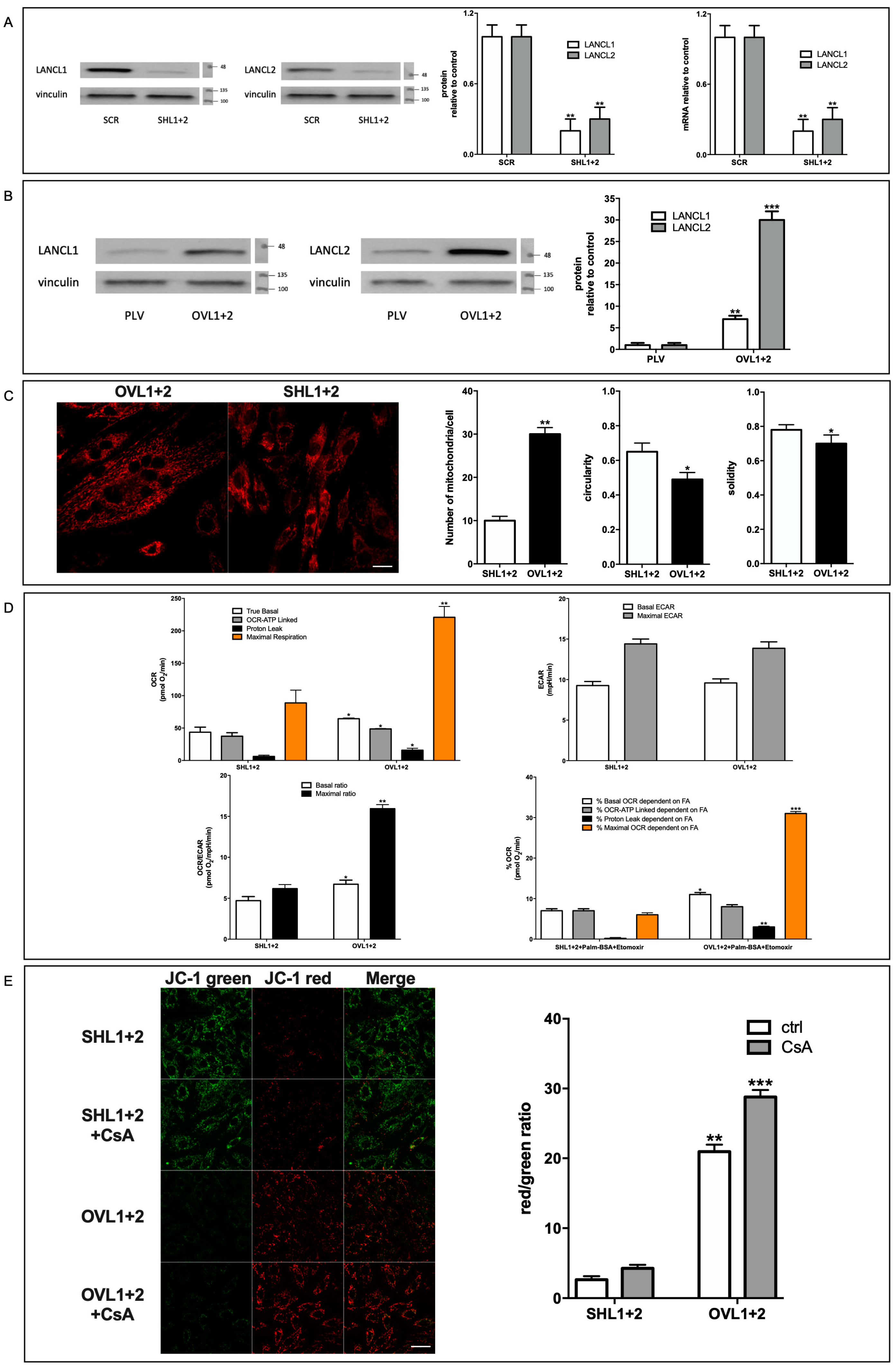 Antioxidants 12 01692 g001