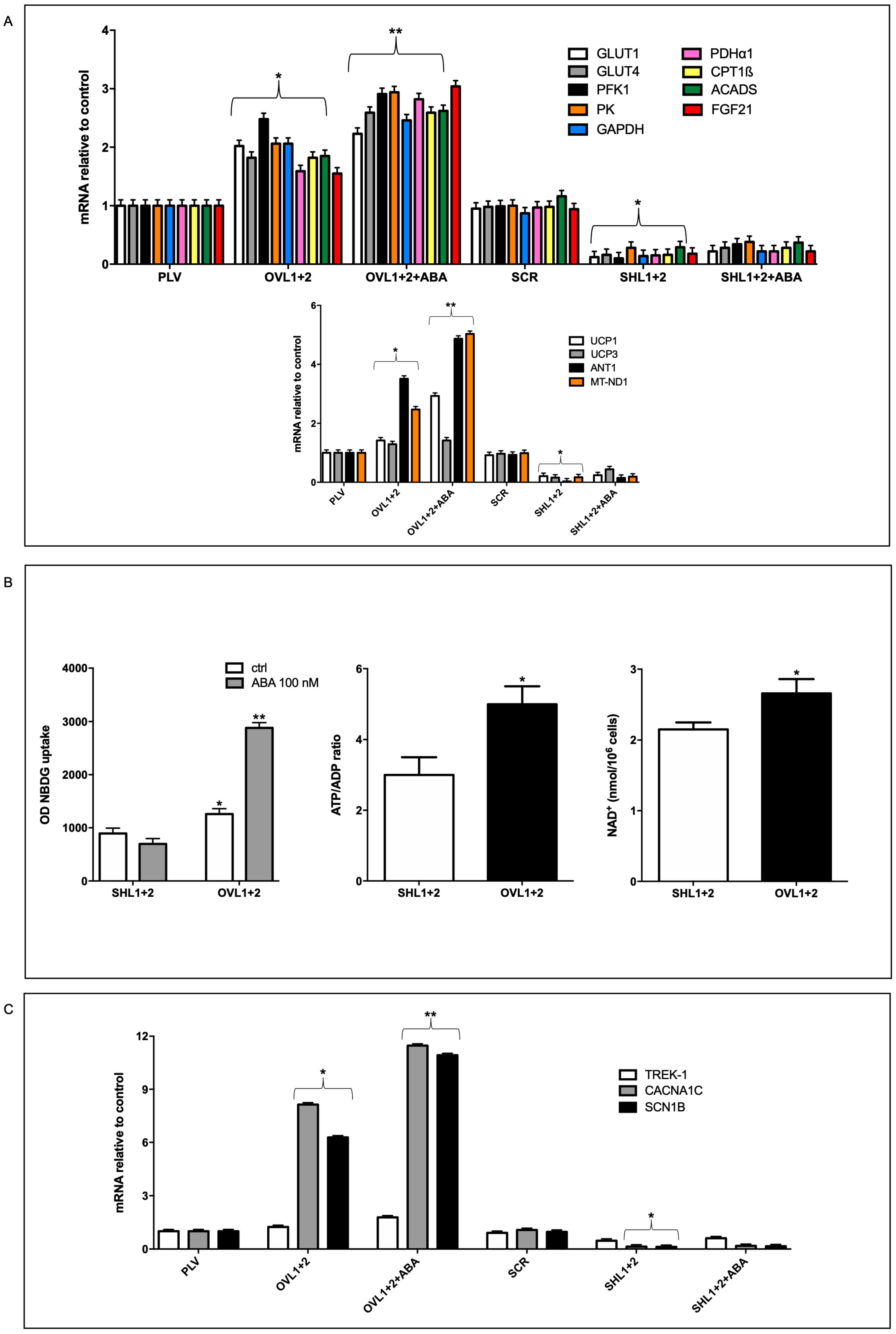 Antioxidants 12 01692 g002