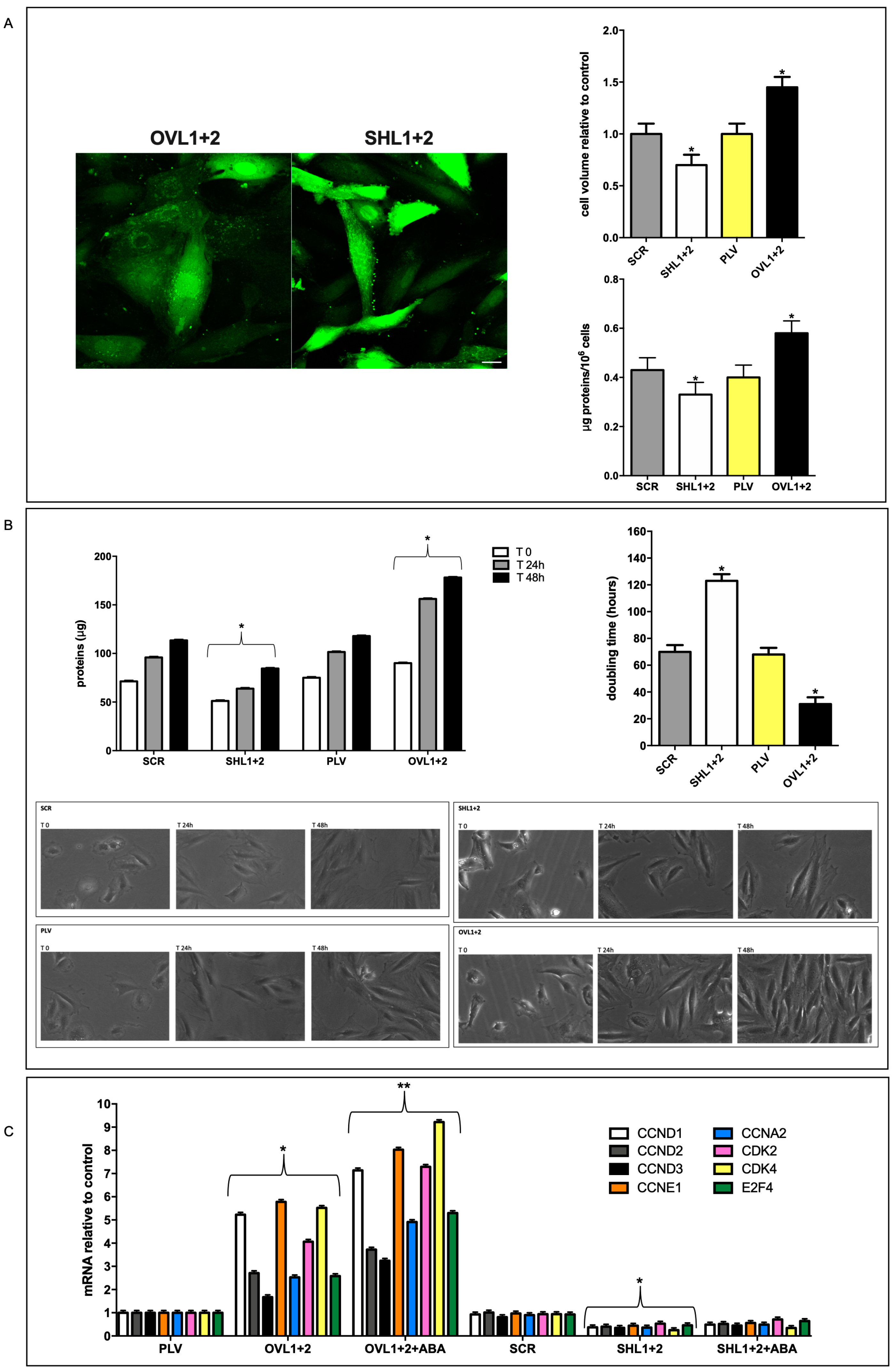 Antioxidants 12 01692 g003