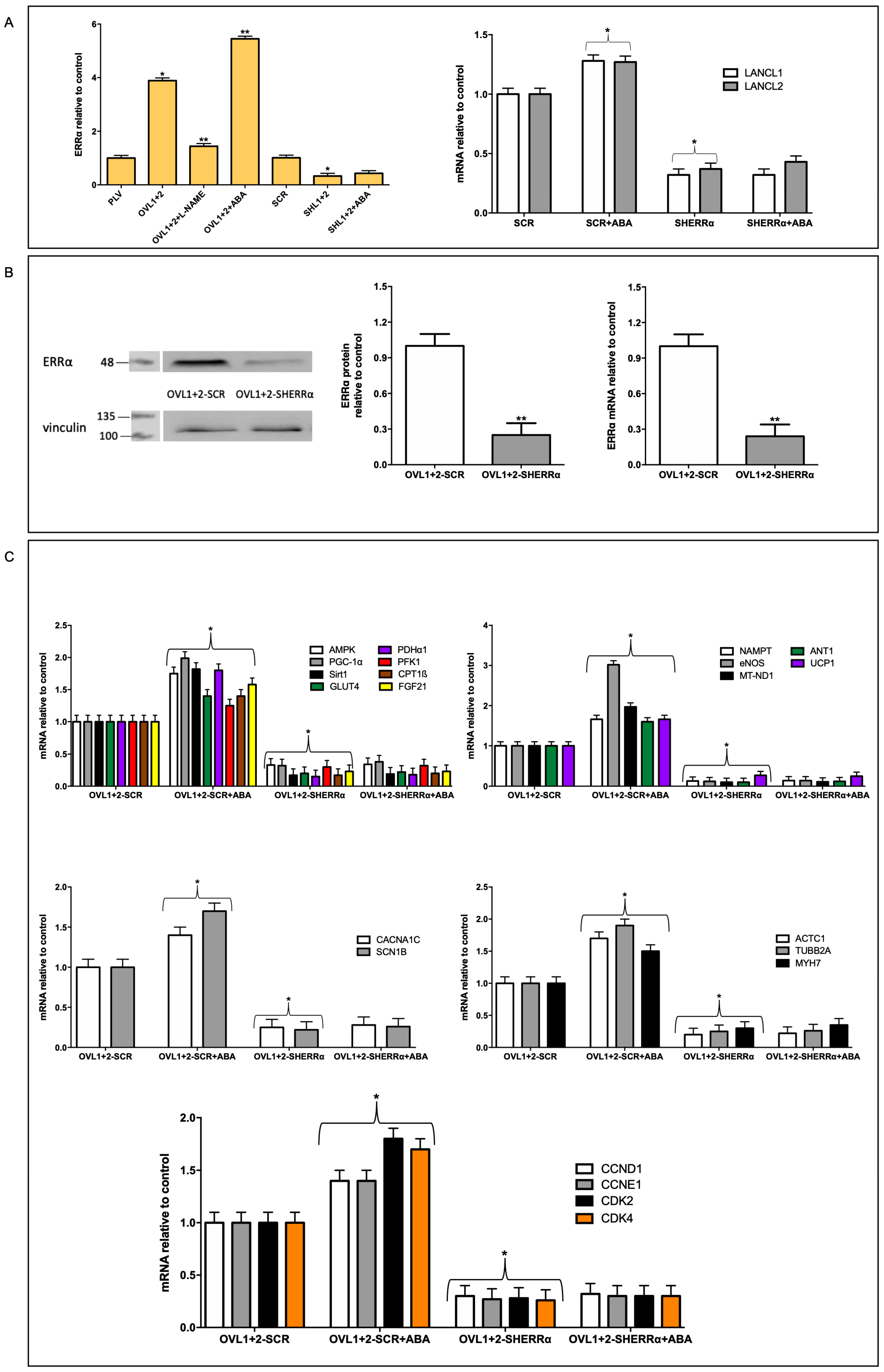 Antioxidants 12 01692 g005