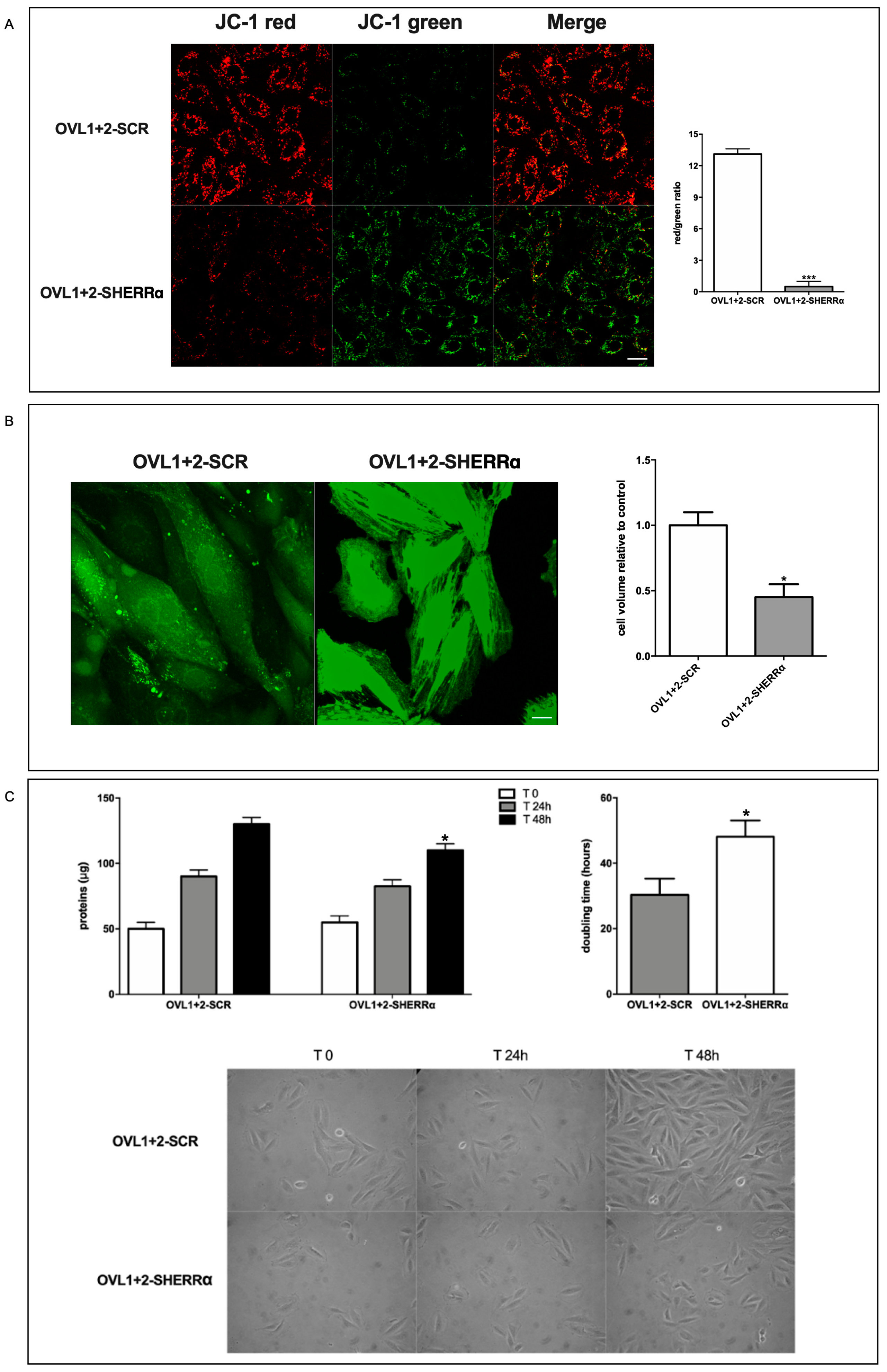 Antioxidants 12 01692 g006