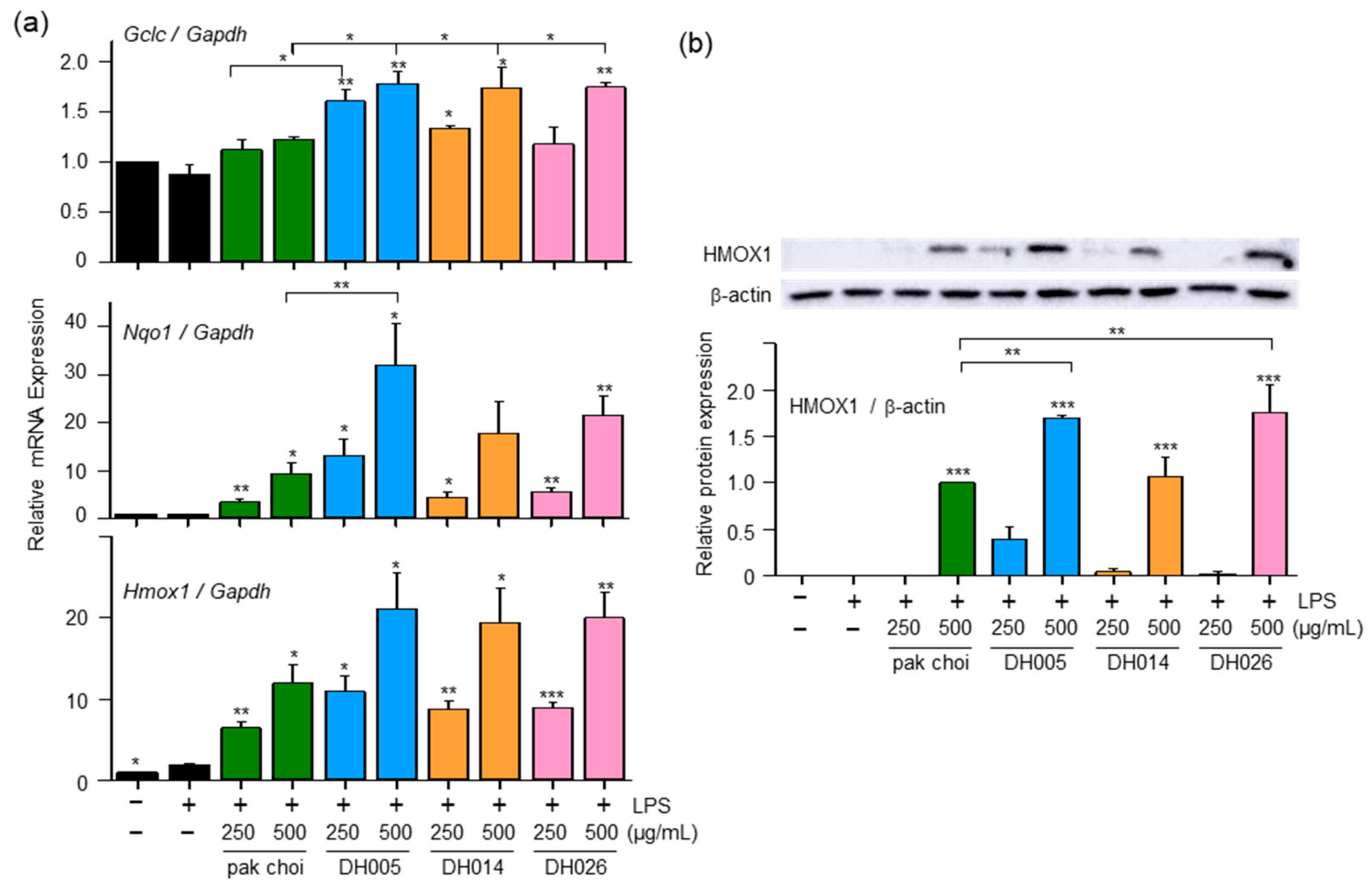 Antioxidants 12 01693 g003