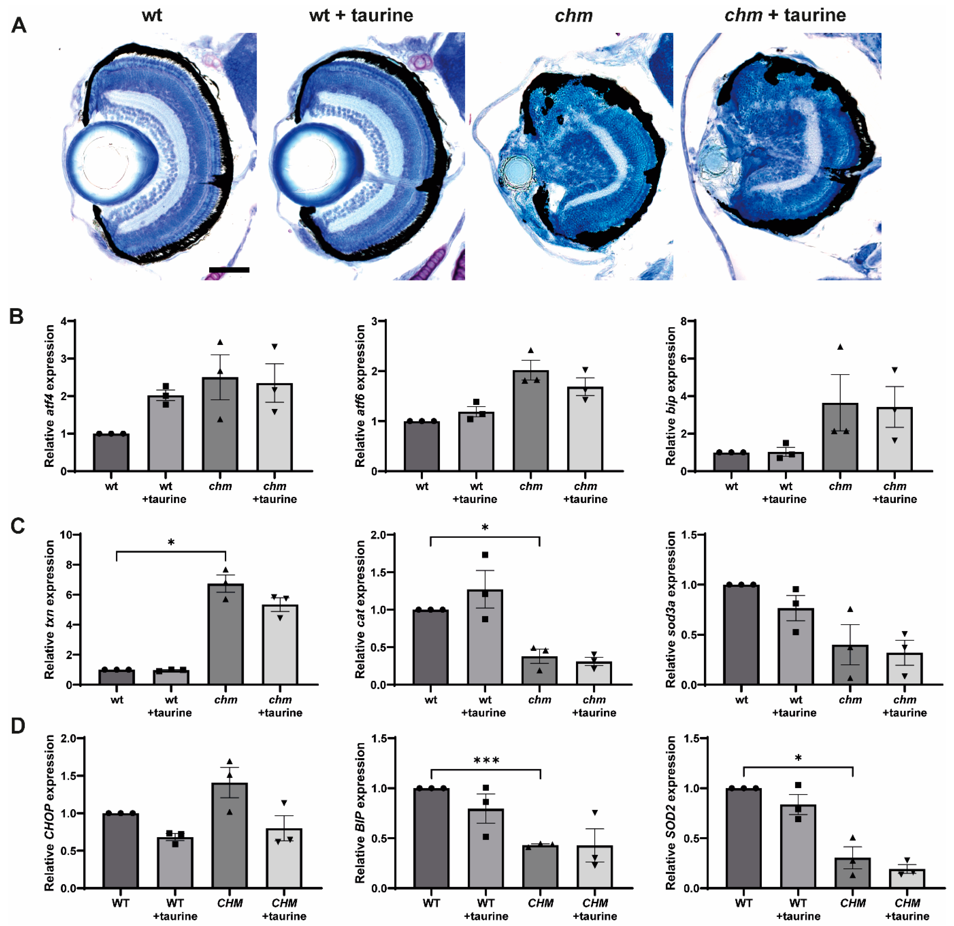 Antioxidants 12 01694 g004