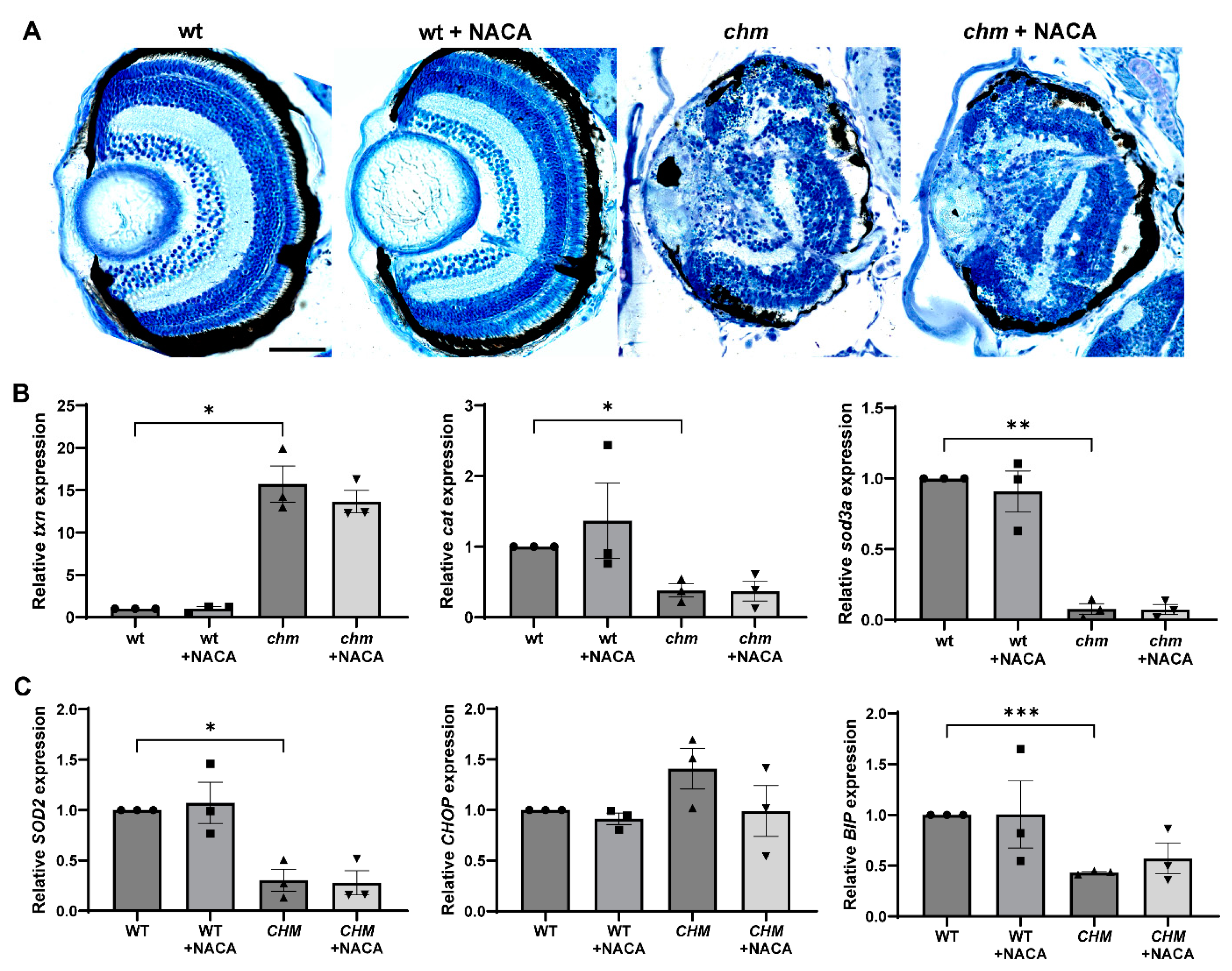 Antioxidants 12 01694 g005