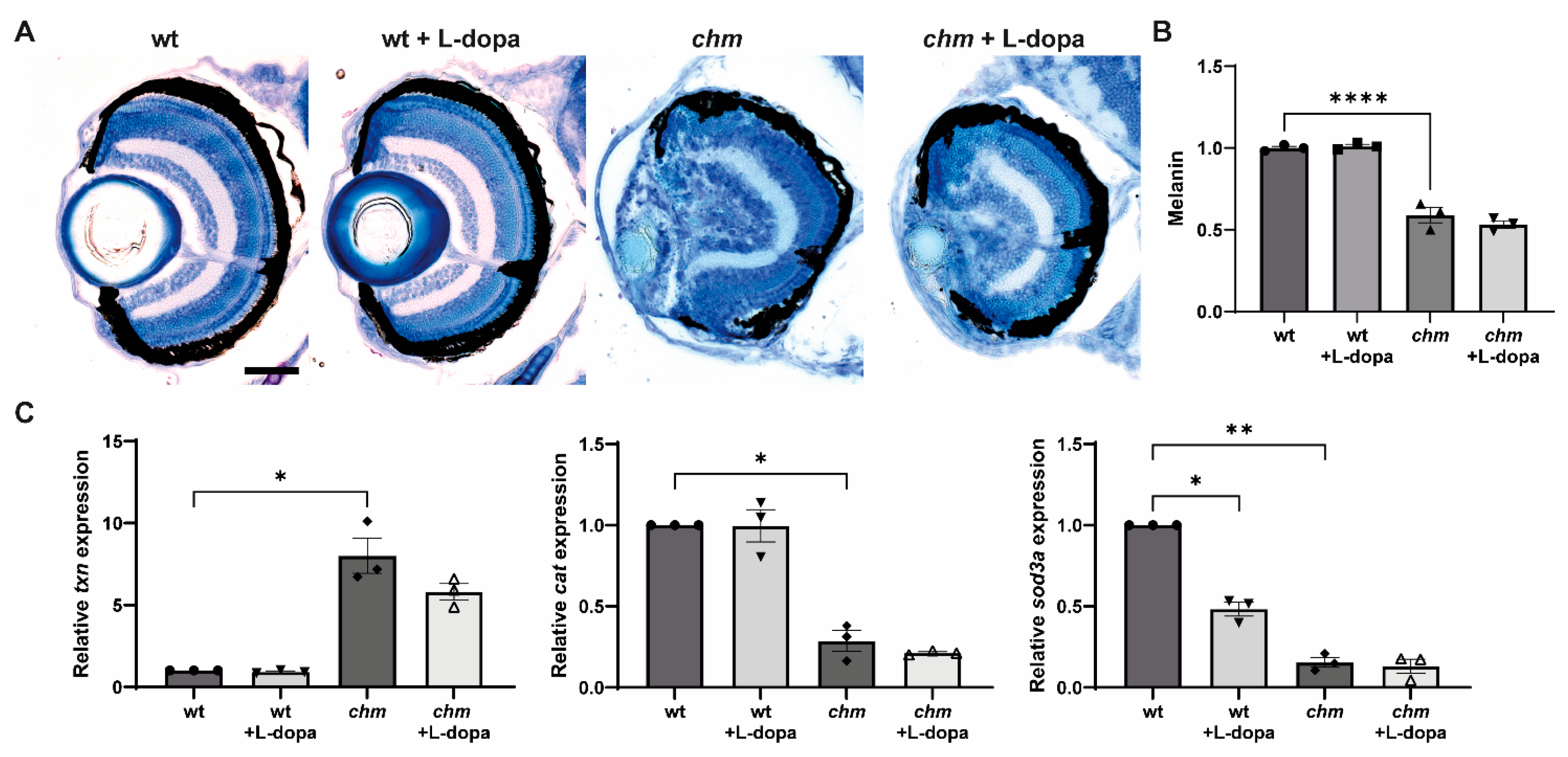 Antioxidants 12 01694 g006