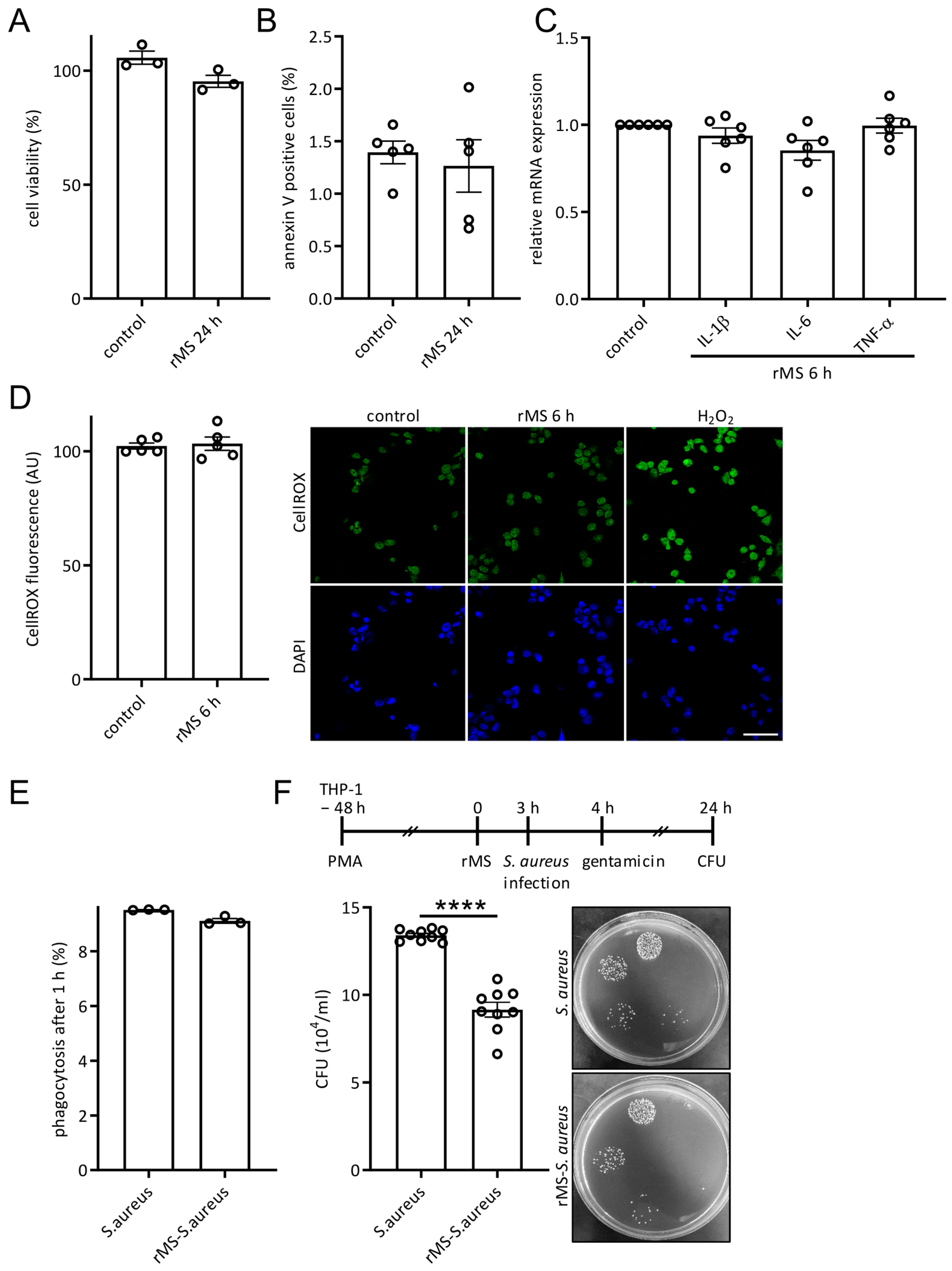 Antioxidants 12 01695 g004