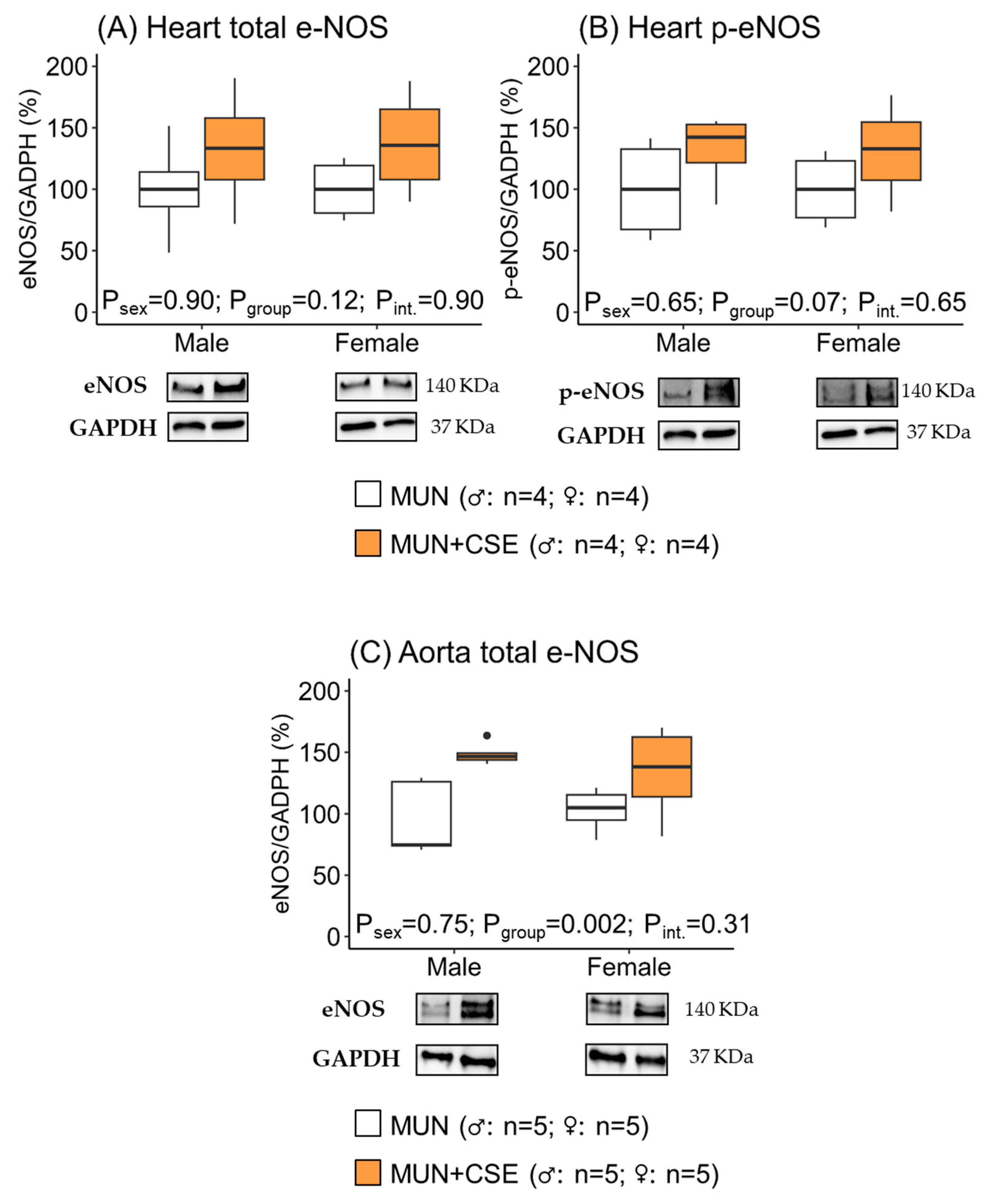 Antioxidants 12 01698 g004