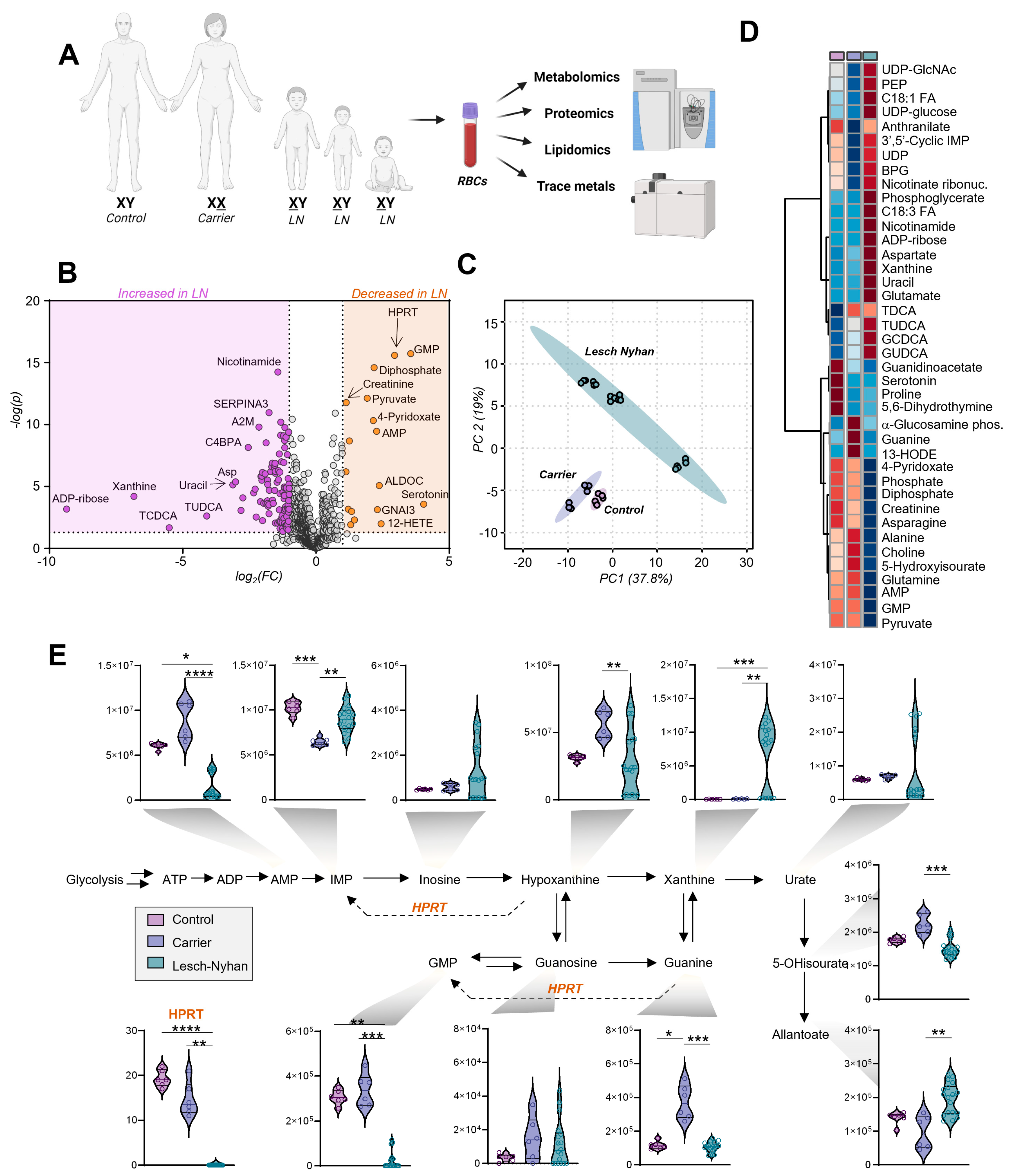 Antioxidants 12 01699 g002