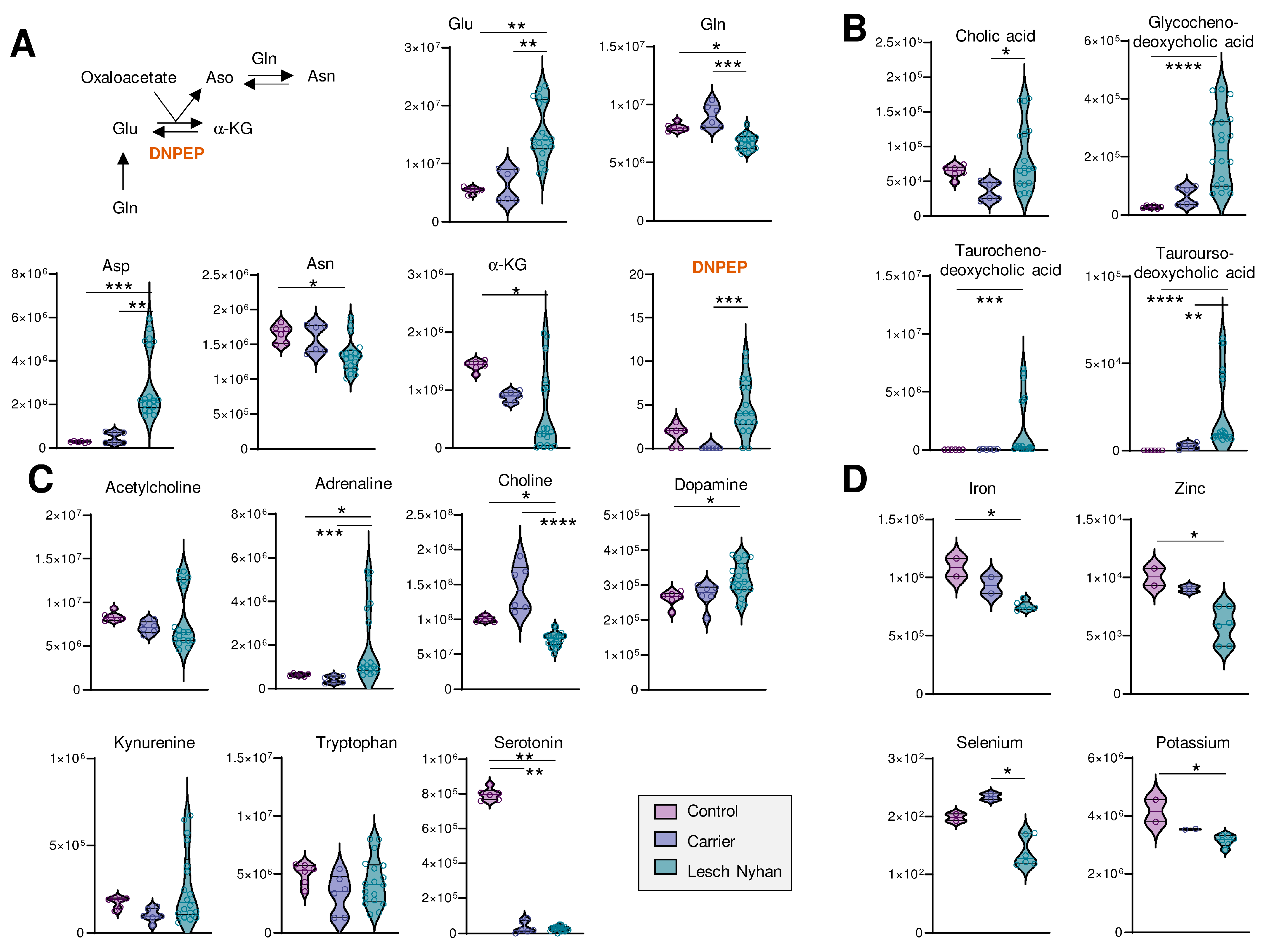 Antioxidants 12 01699 g004