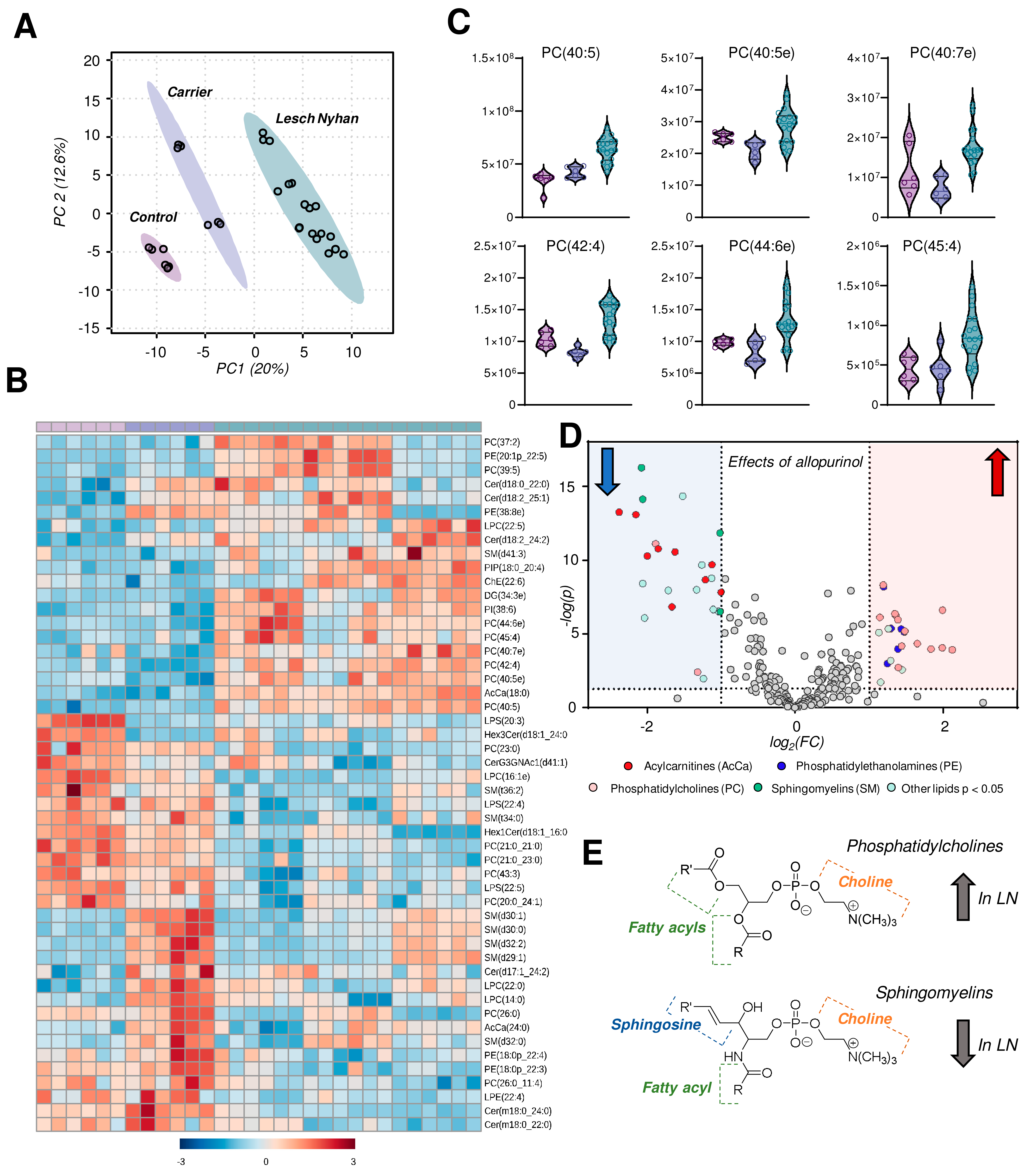 Antioxidants 12 01699 g005