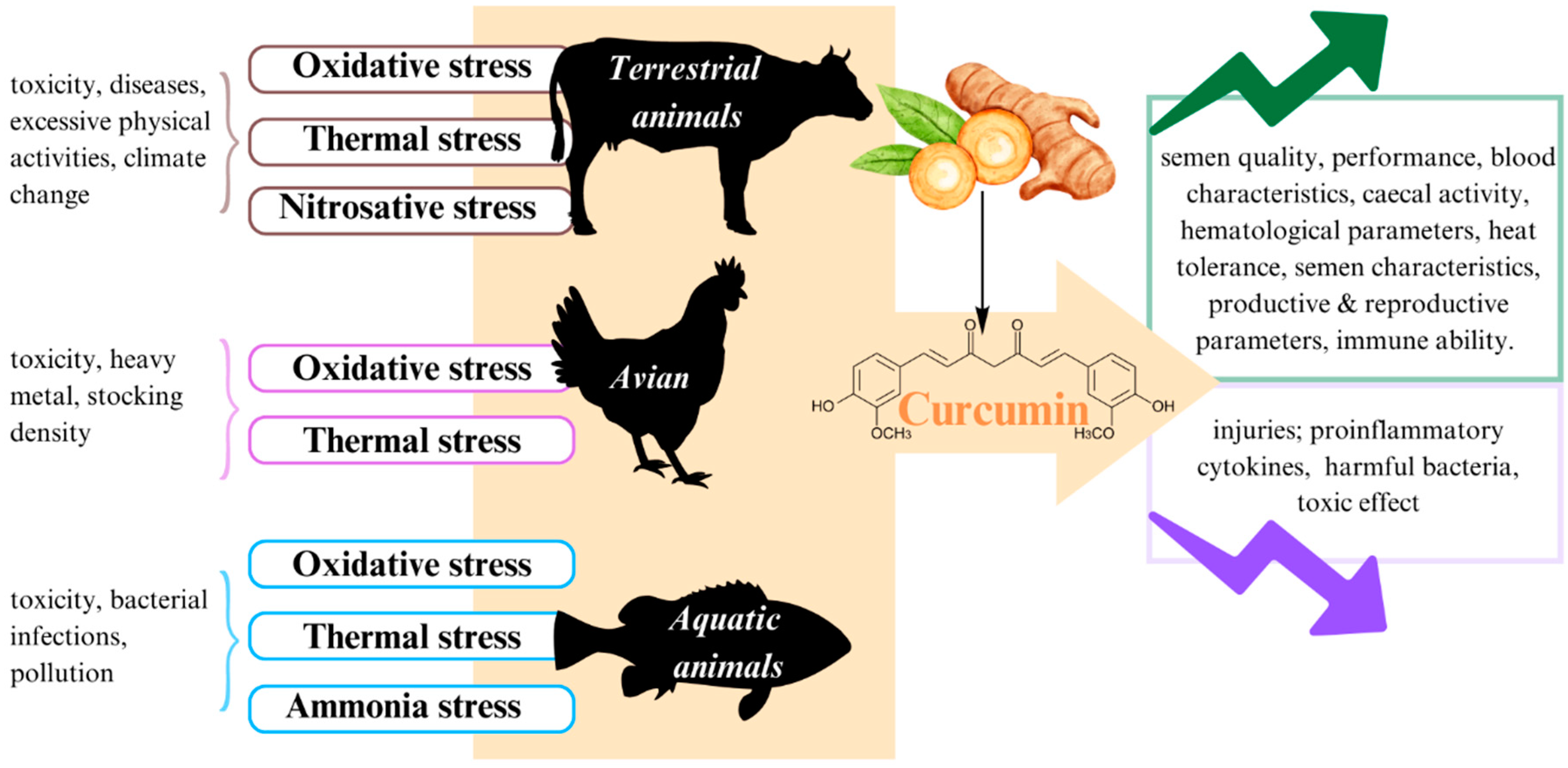 Antioxidants 12 01700 g004