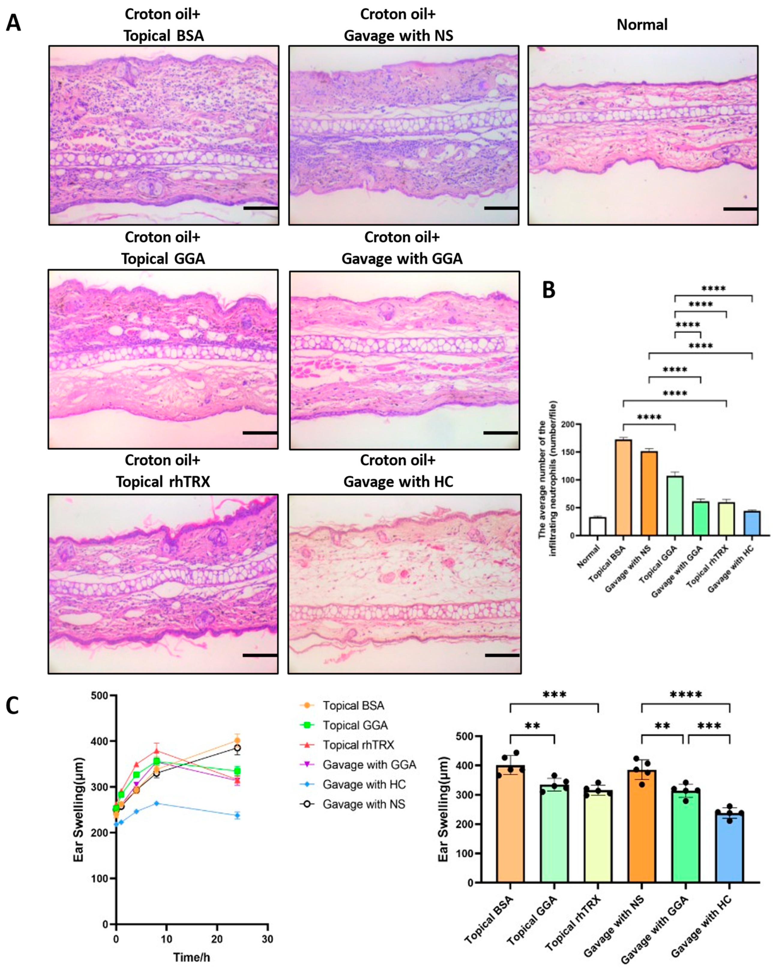 Antioxidants 12 01701 g002