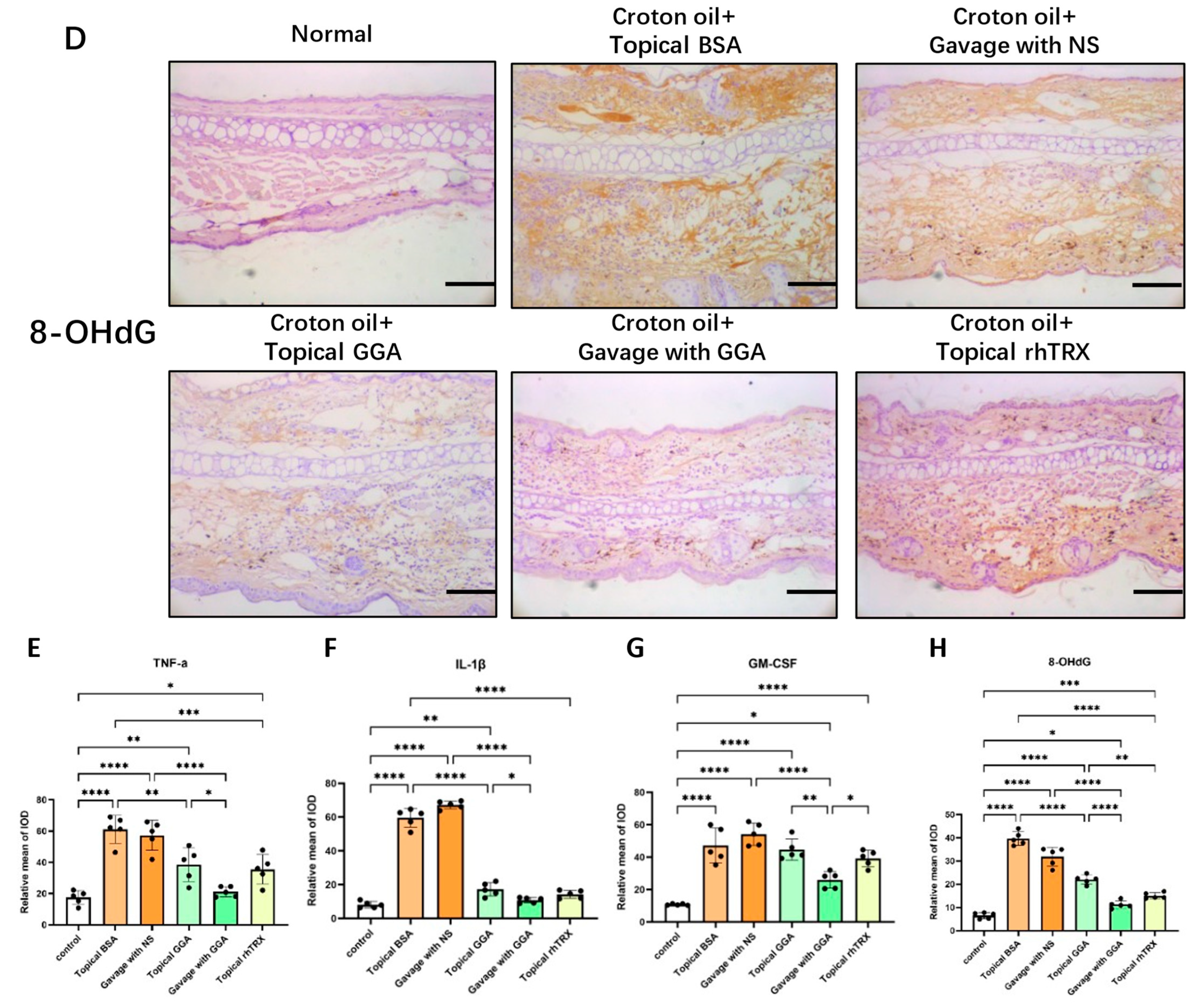 Antioxidants 12 01701 g003c