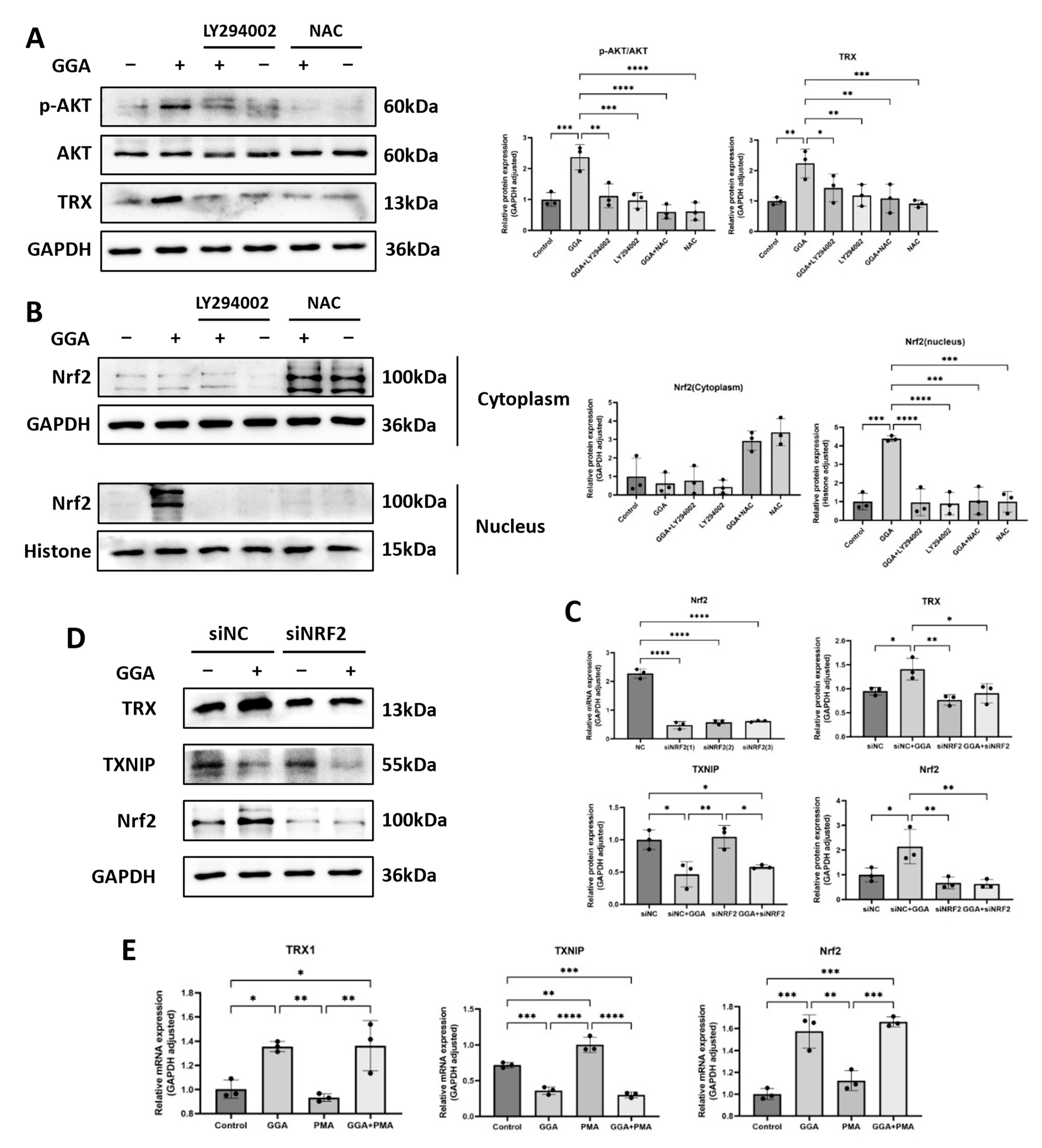Antioxidants 12 01701 g006