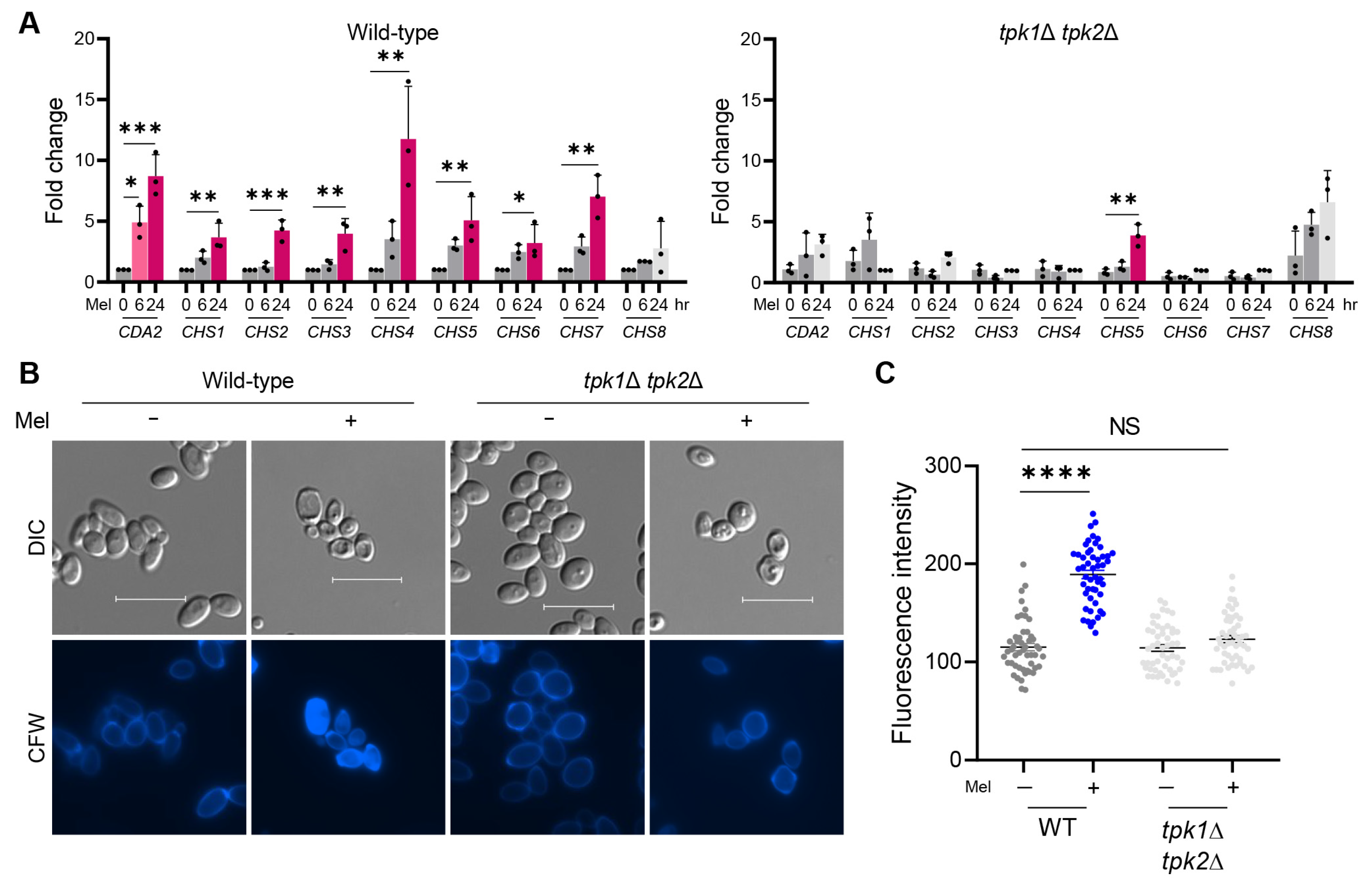 Antioxidants 12 01702 g002