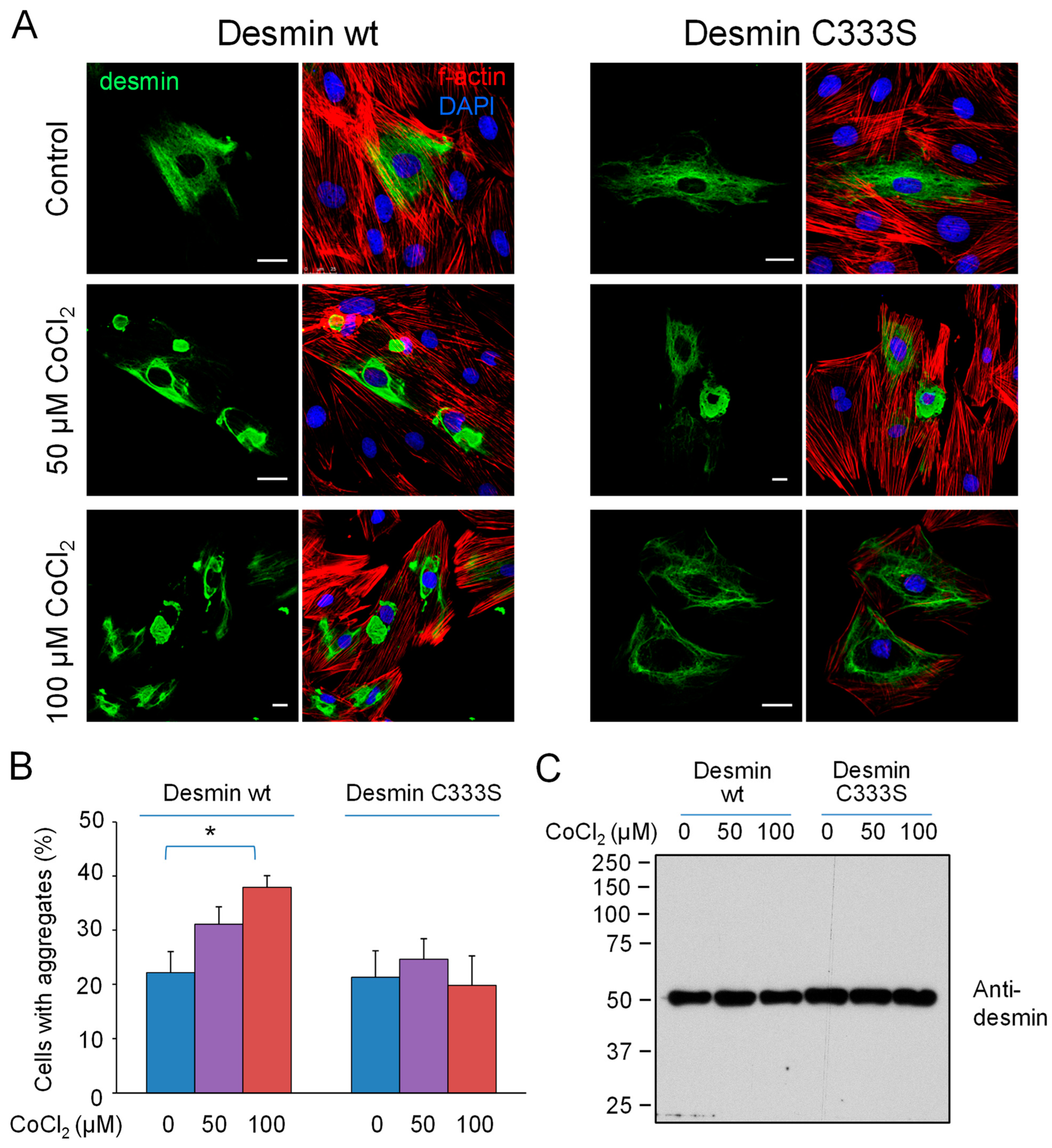 Antioxidants 12 01703 g006