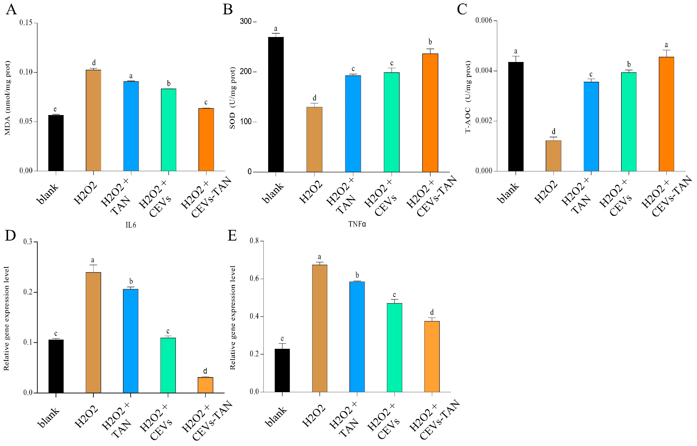 Antioxidants 12 01706 g009