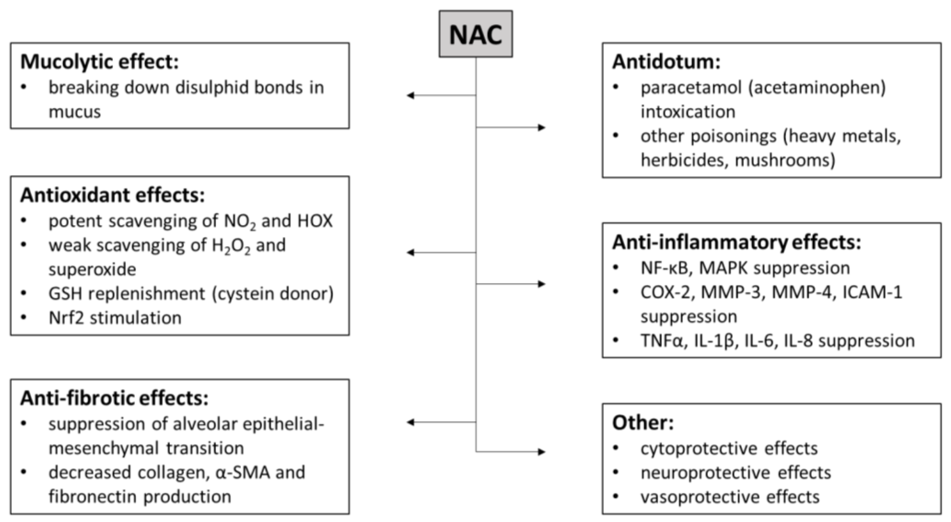 Antioxidants 12 01713 g003