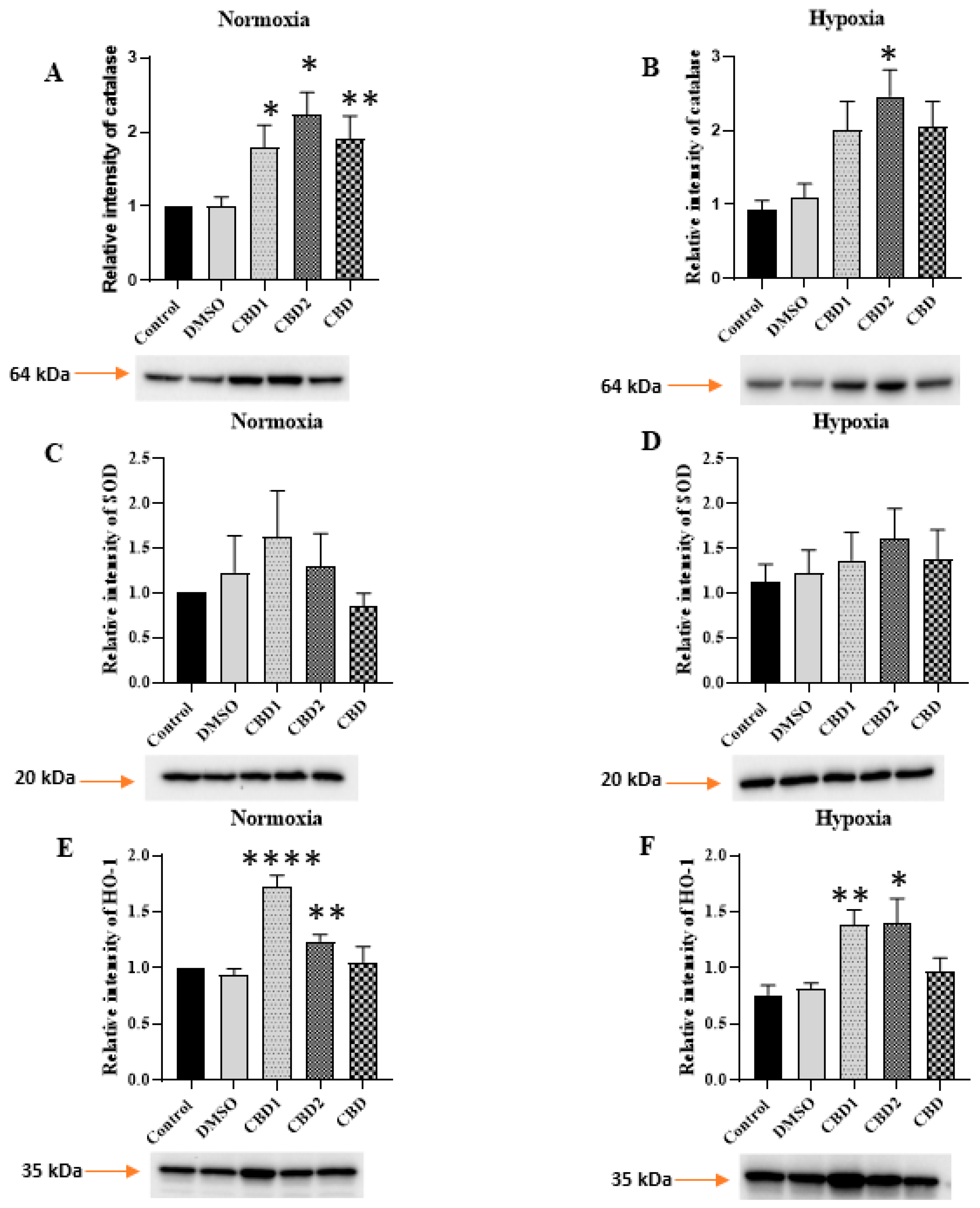 Antioxidants 12 01714 g007