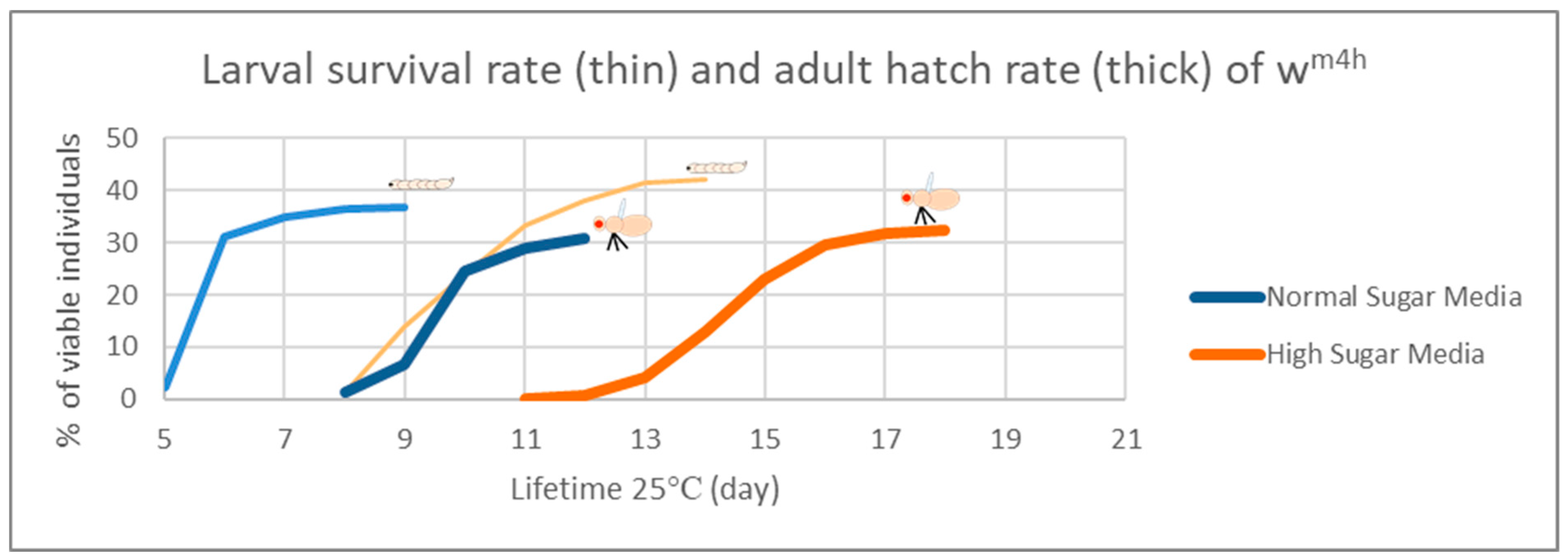 Antioxidants 12 01717 g005 Antioxidants 12 01717 g005