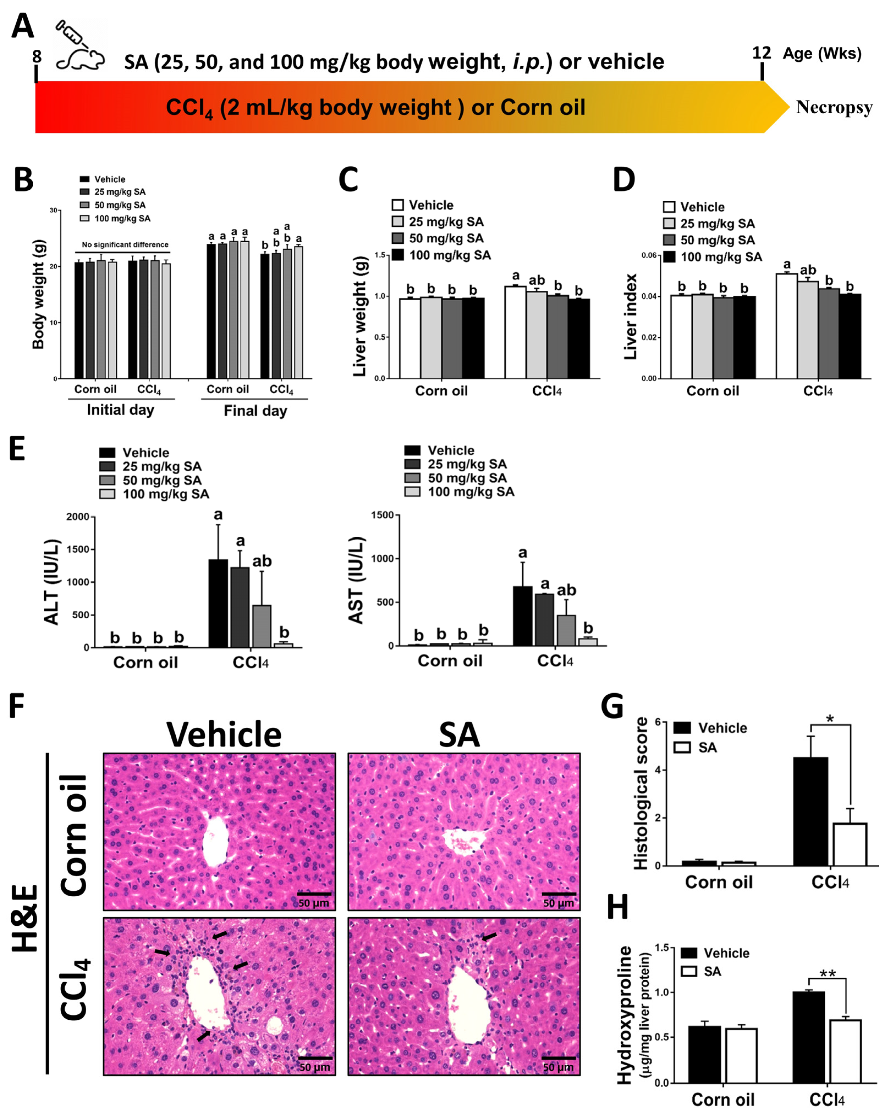 Antioxidants 12 01718 g001