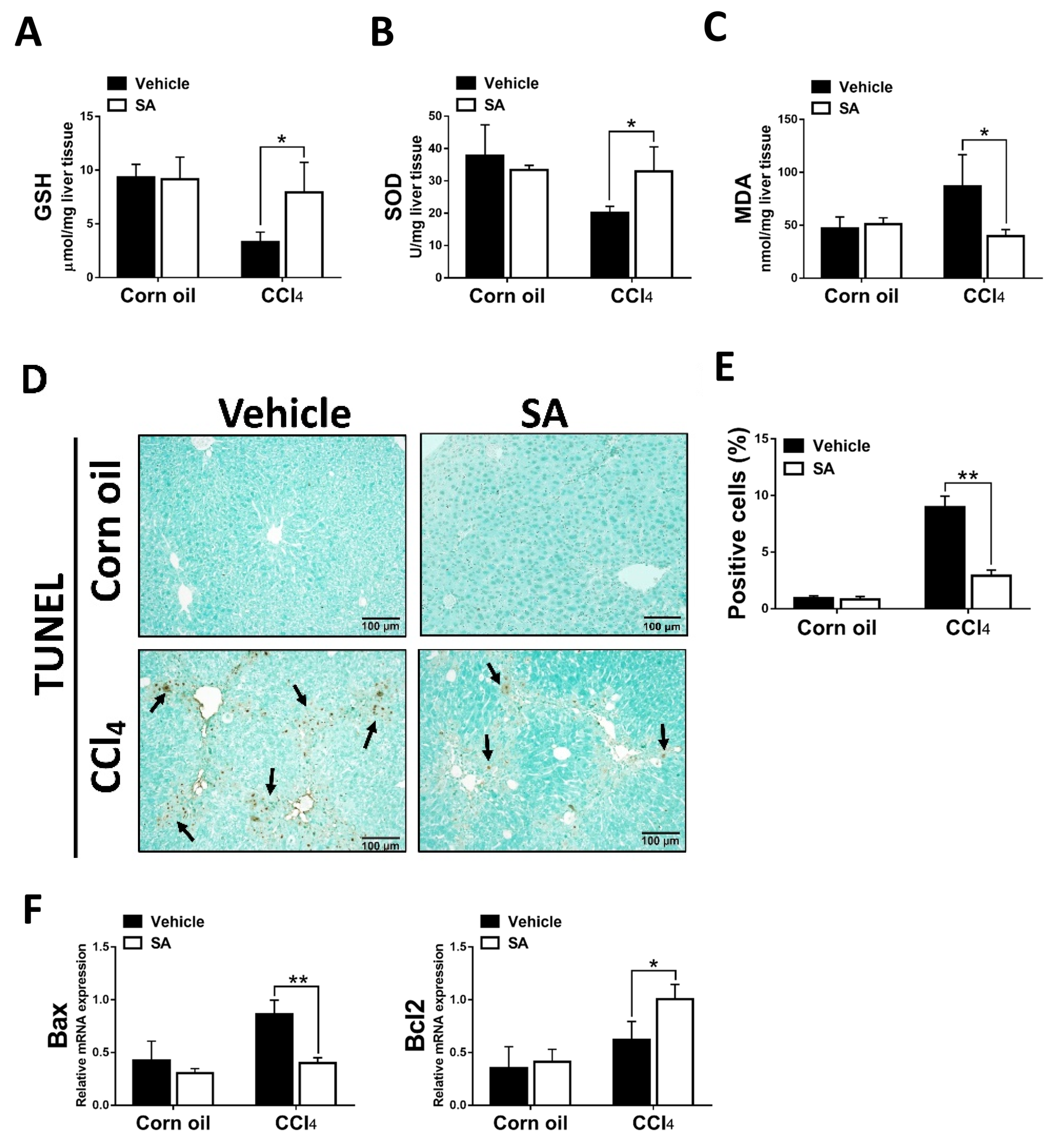 Antioxidants 12 01718 g003