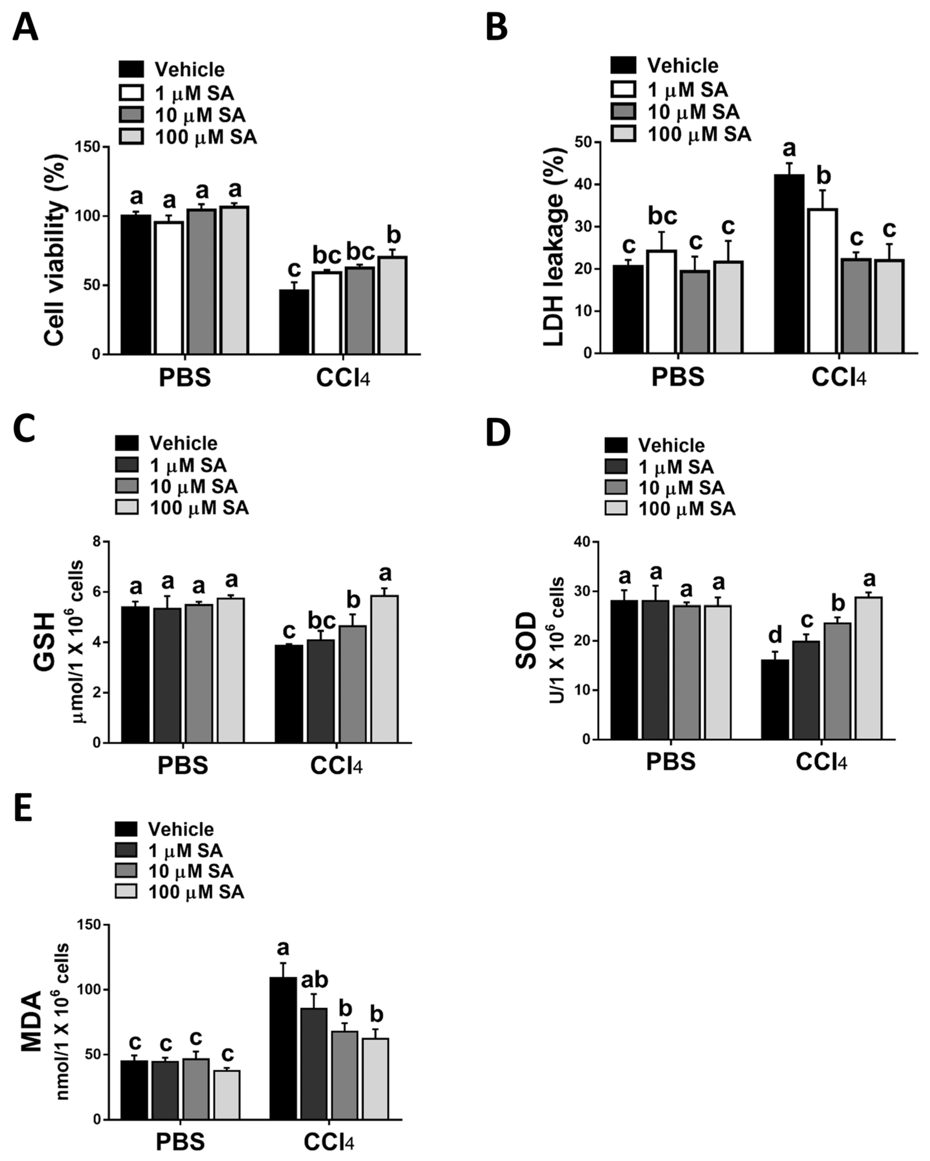 Antioxidants 12 01718 g004