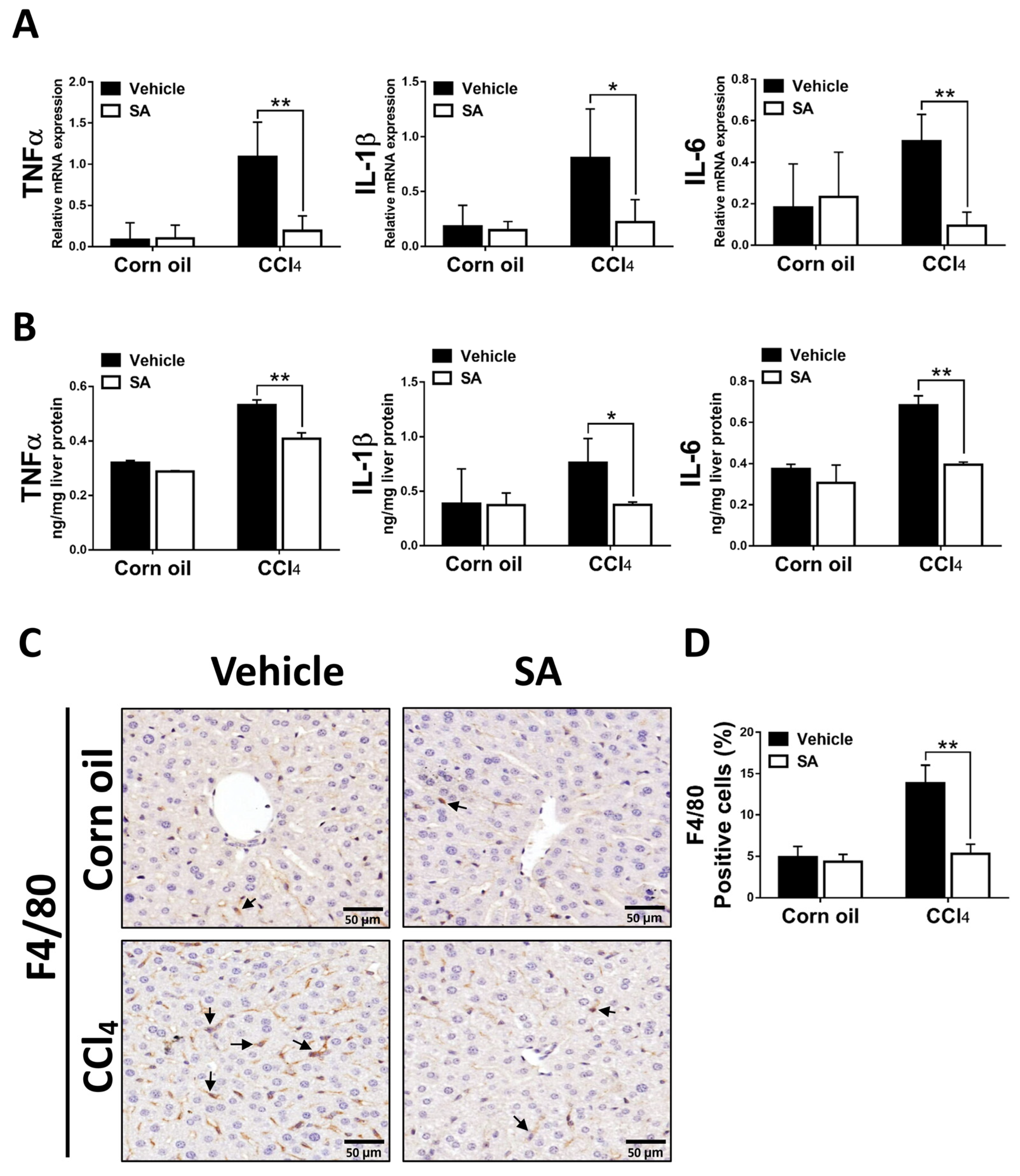 Antioxidants 12 01718 g006