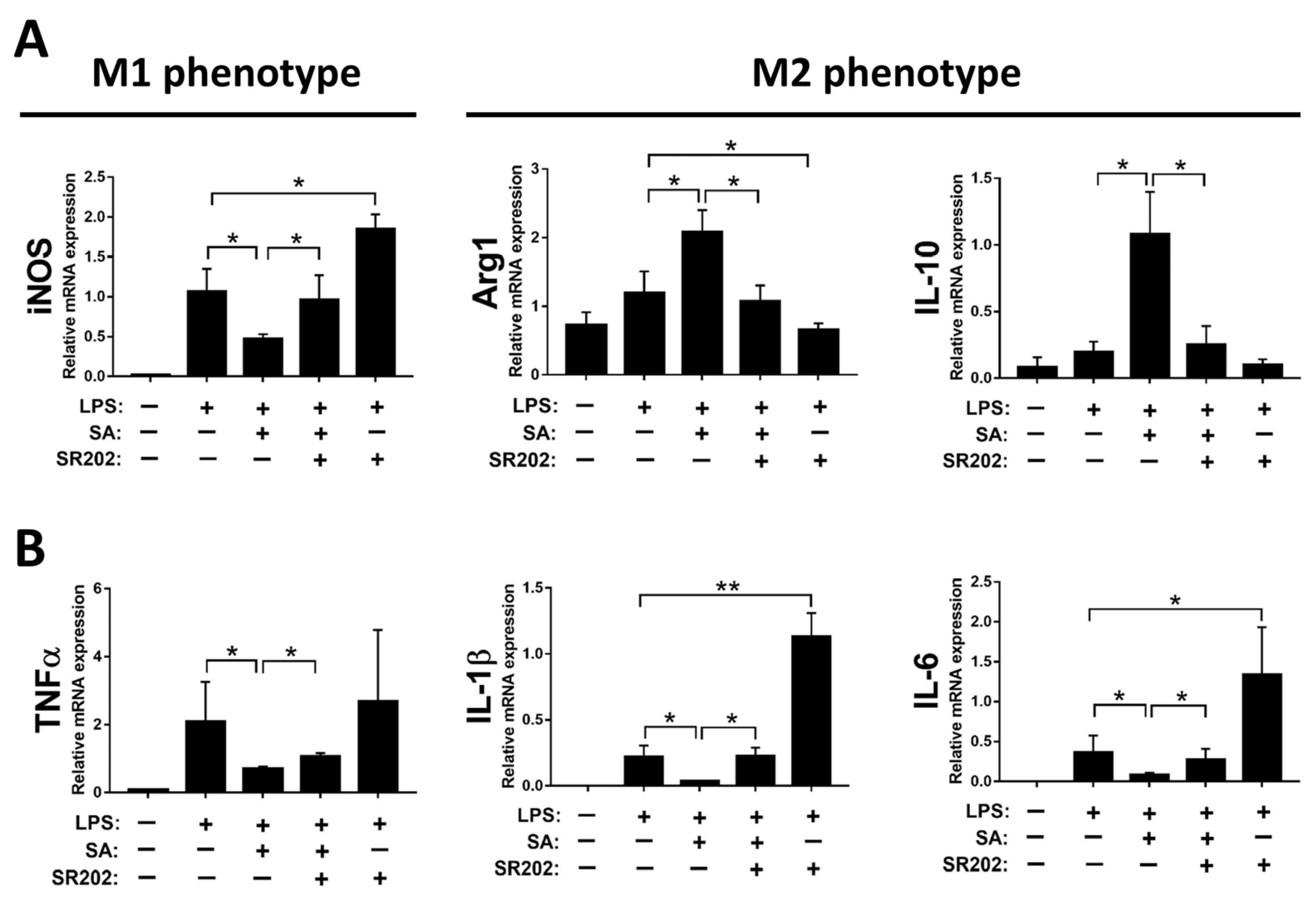 Antioxidants 12 01718 g008