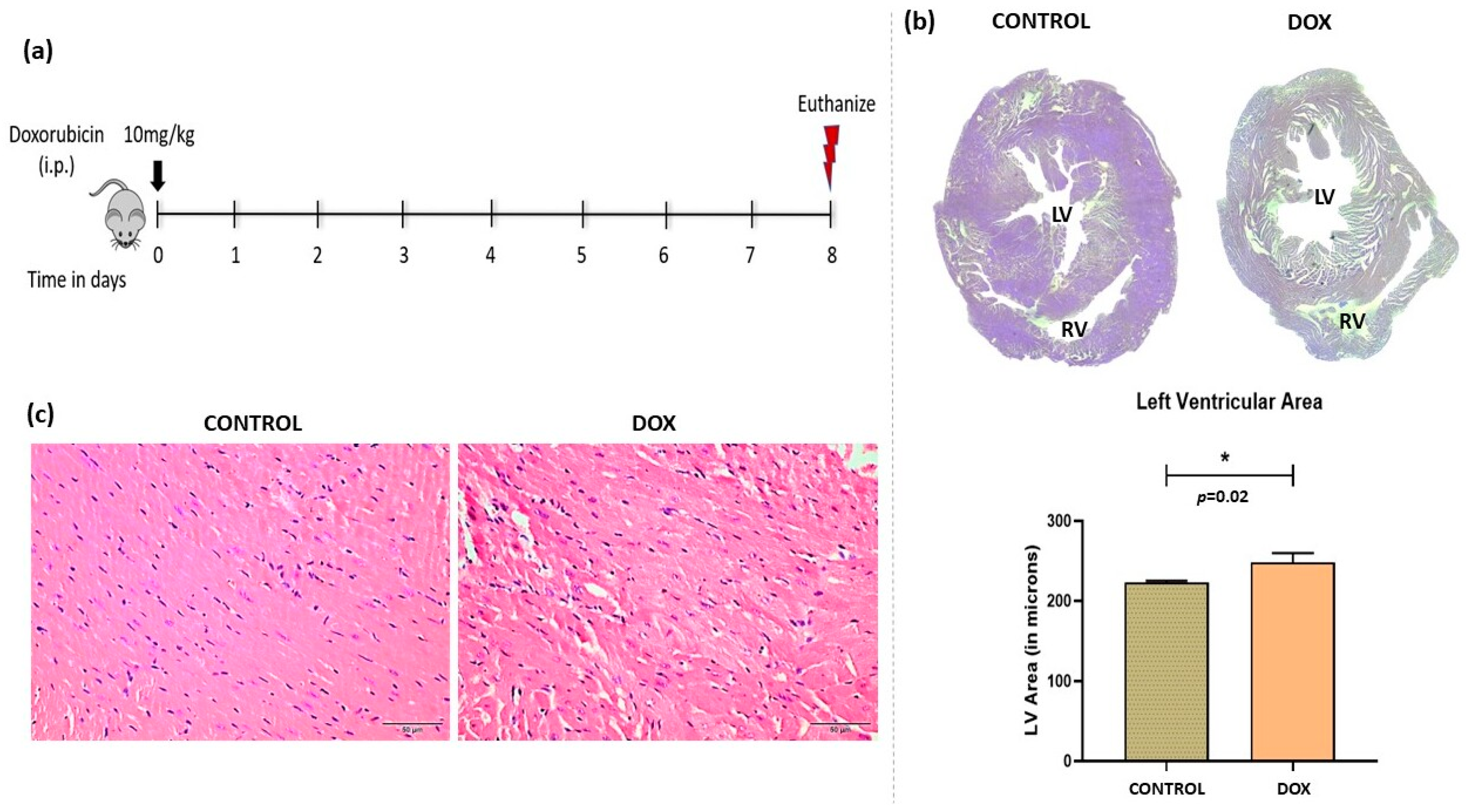 Antioxidants 12 01720 g001
