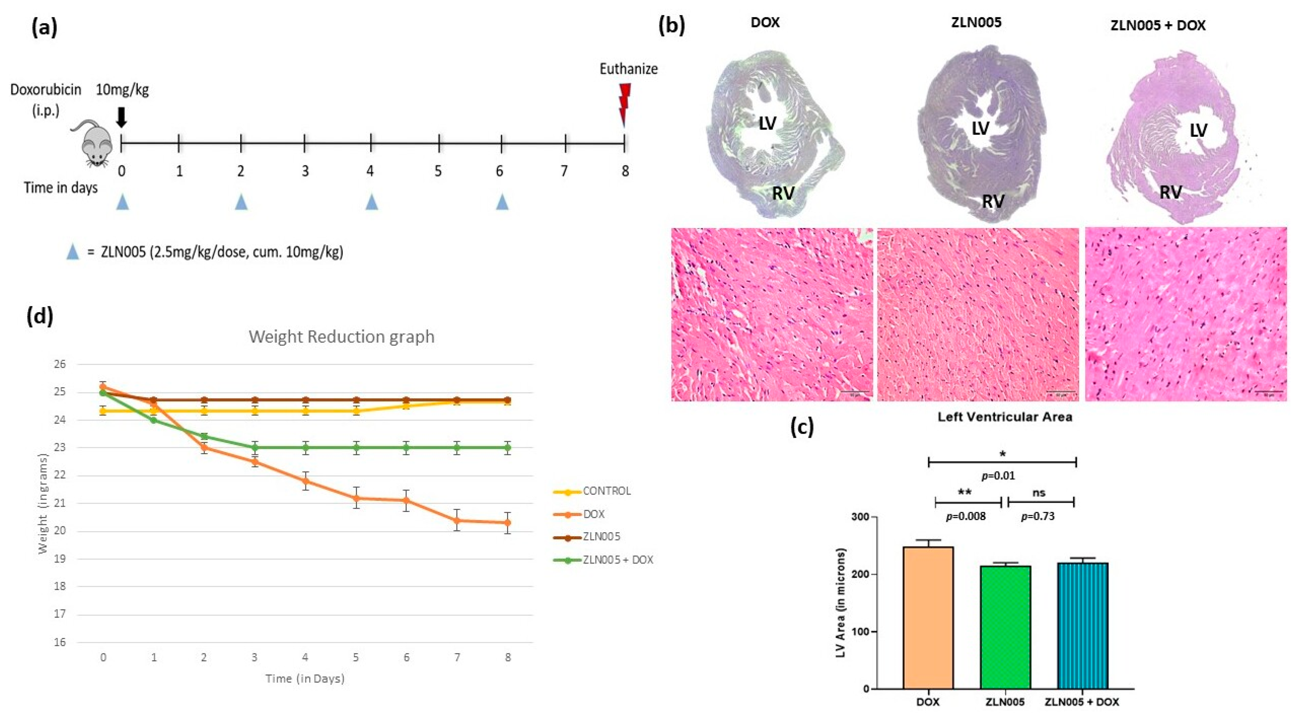 Antioxidants 12 01720 g003