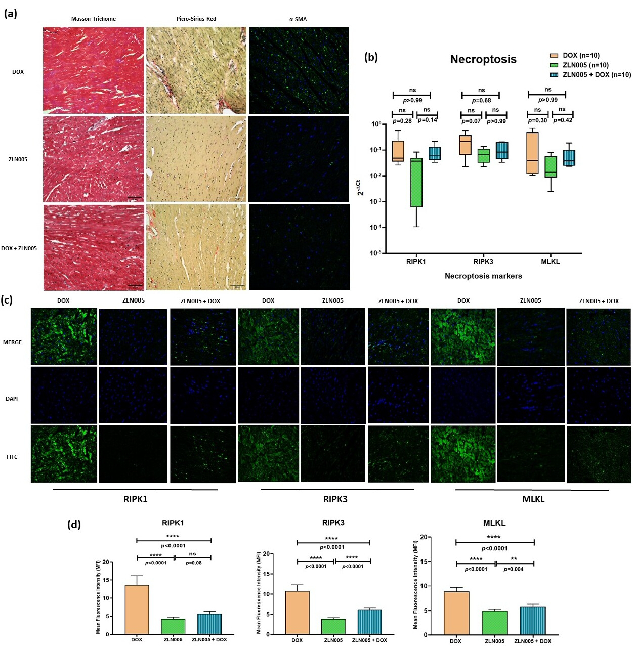 Antioxidants 12 01720 g004