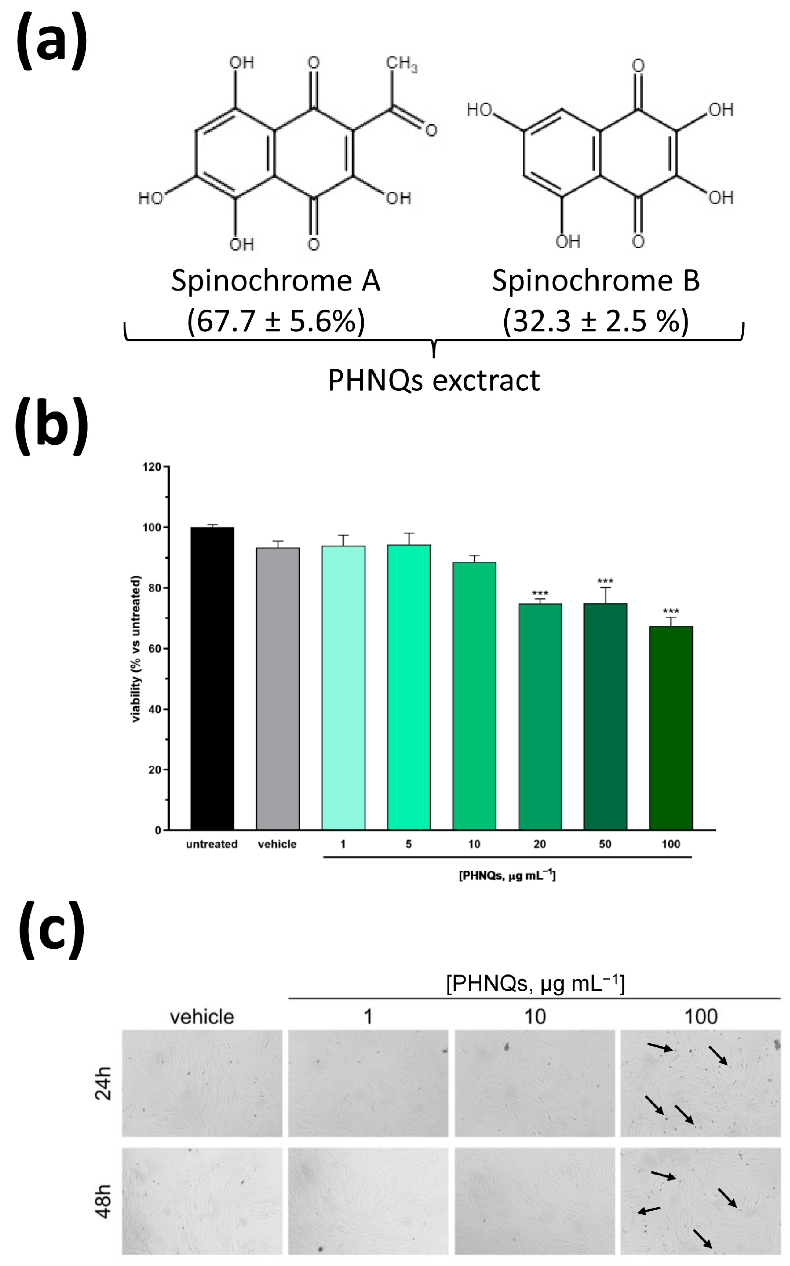 Antioxidants 12 01730 g001