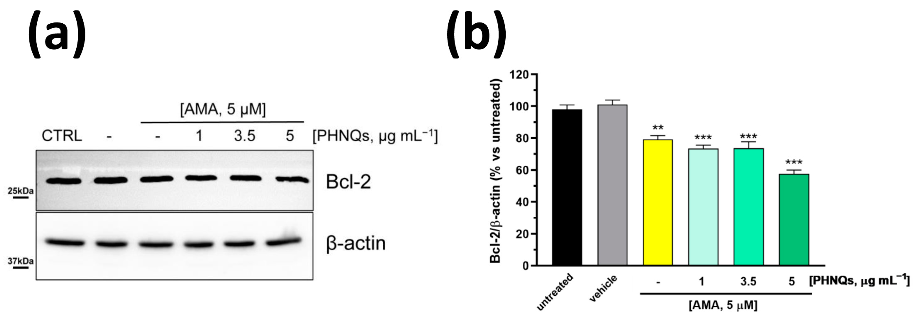Antioxidants 12 01730 g004