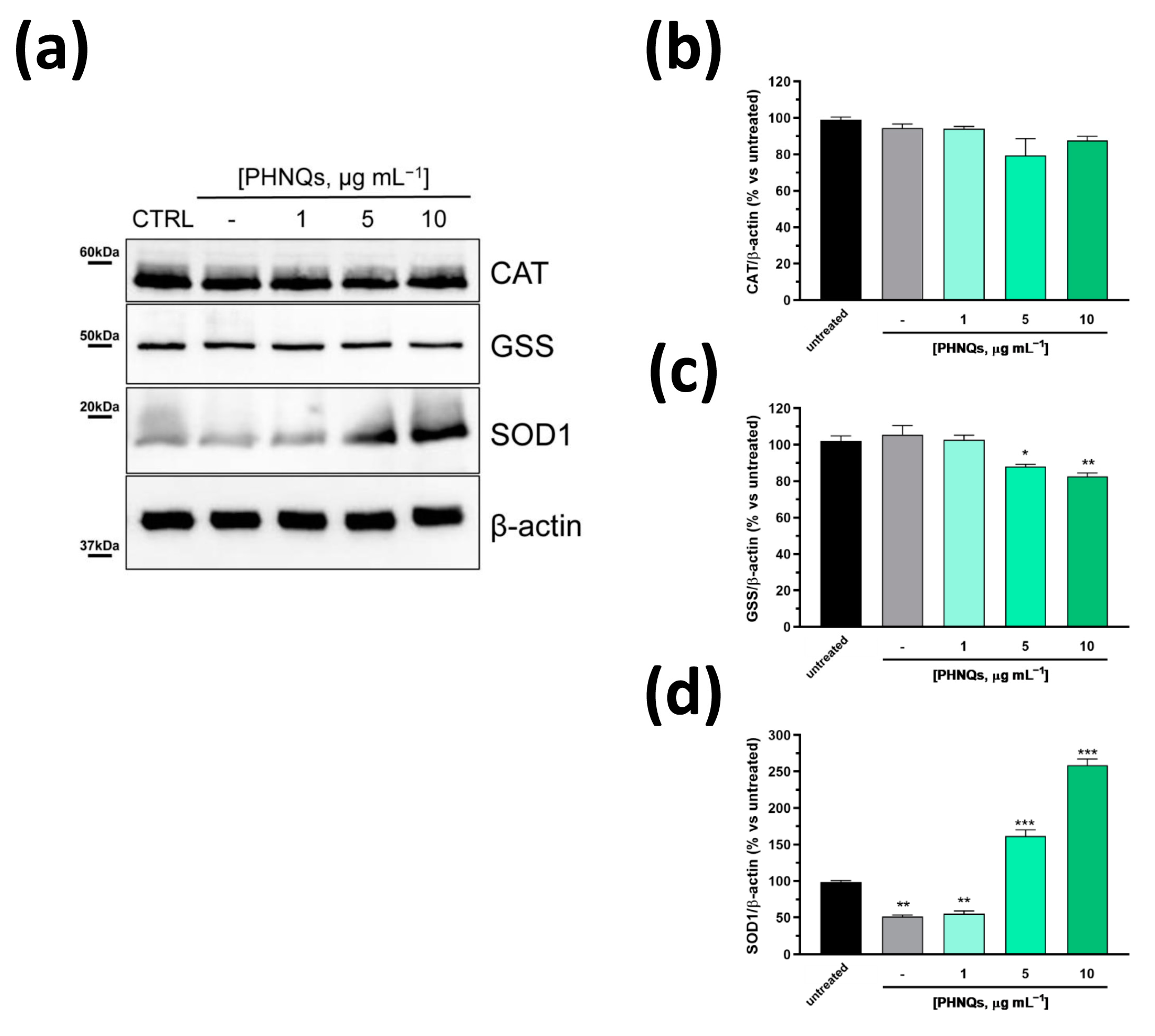 Antioxidants 12 01730 g005