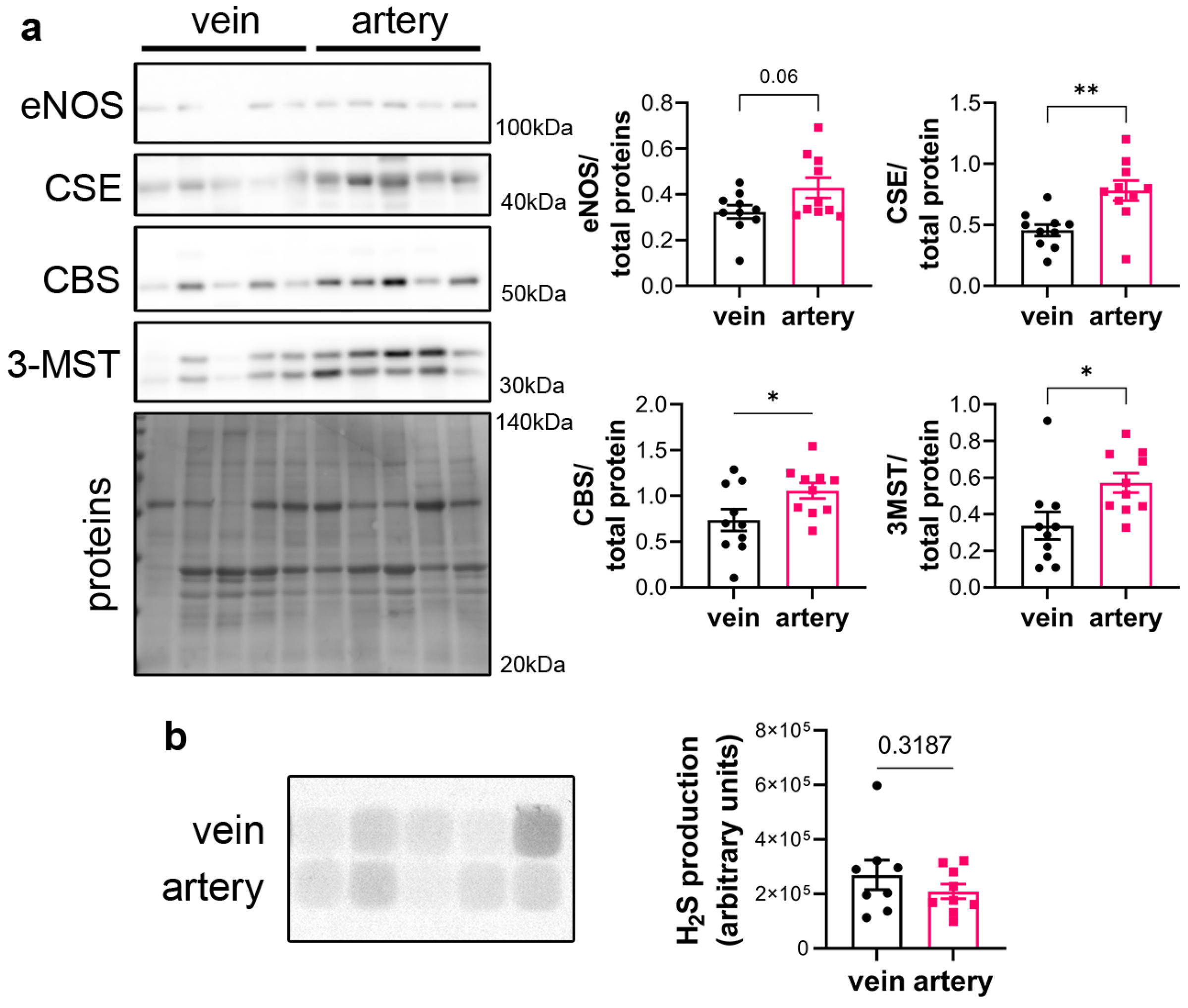 Antioxidants 12 01731 g001