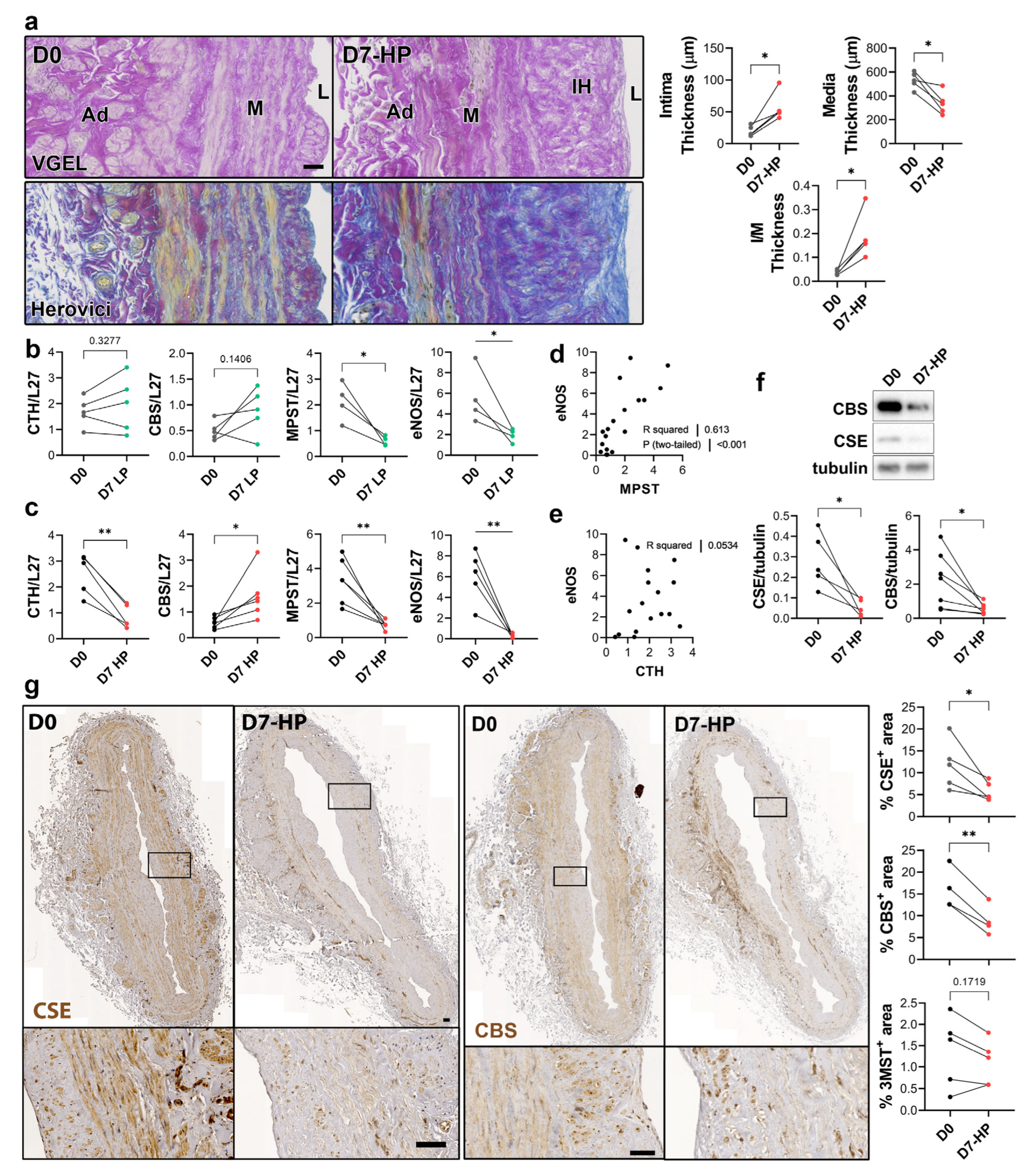 Antioxidants 12 01731 g004