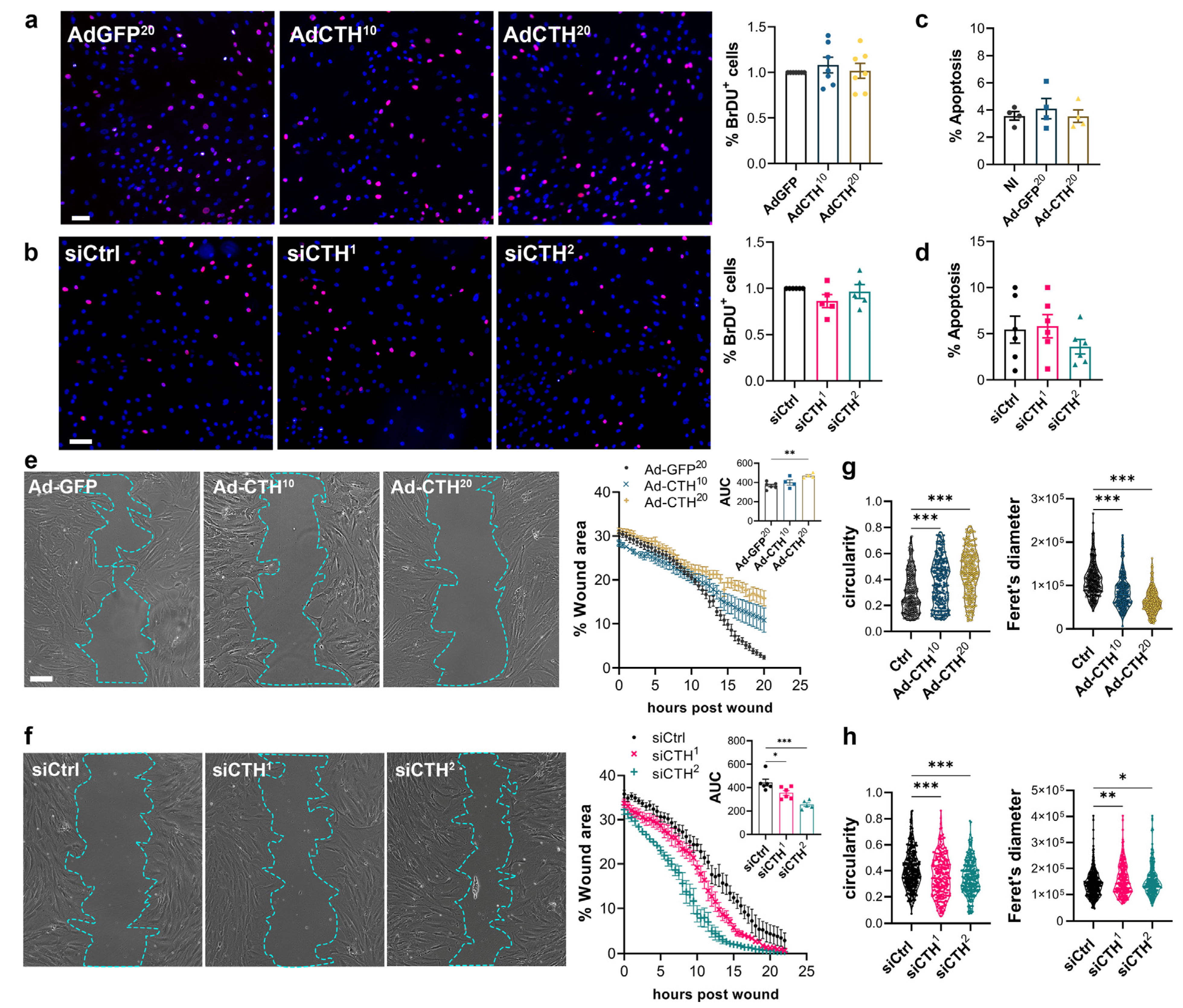 Antioxidants 12 01731 g006
