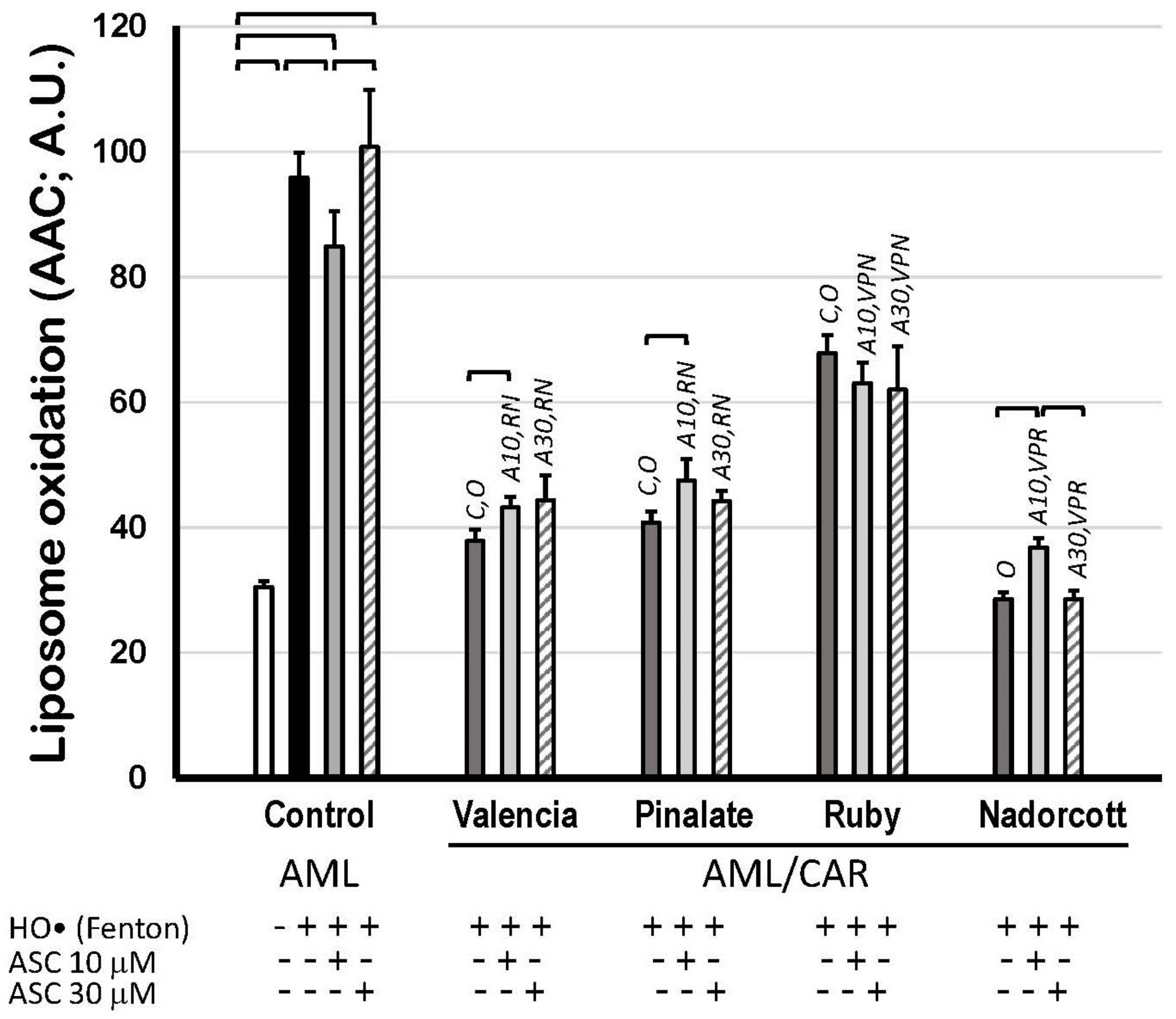 Antioxidants 12 01733 g007