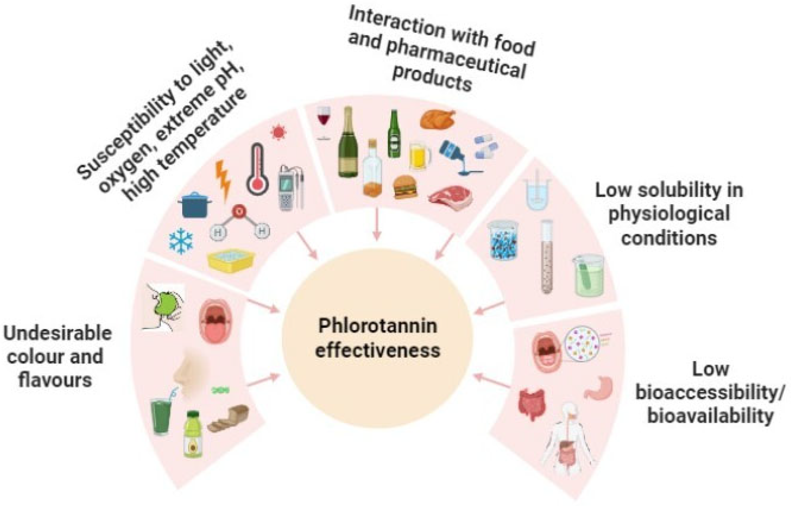 Antioxidants 12 01734 g001
