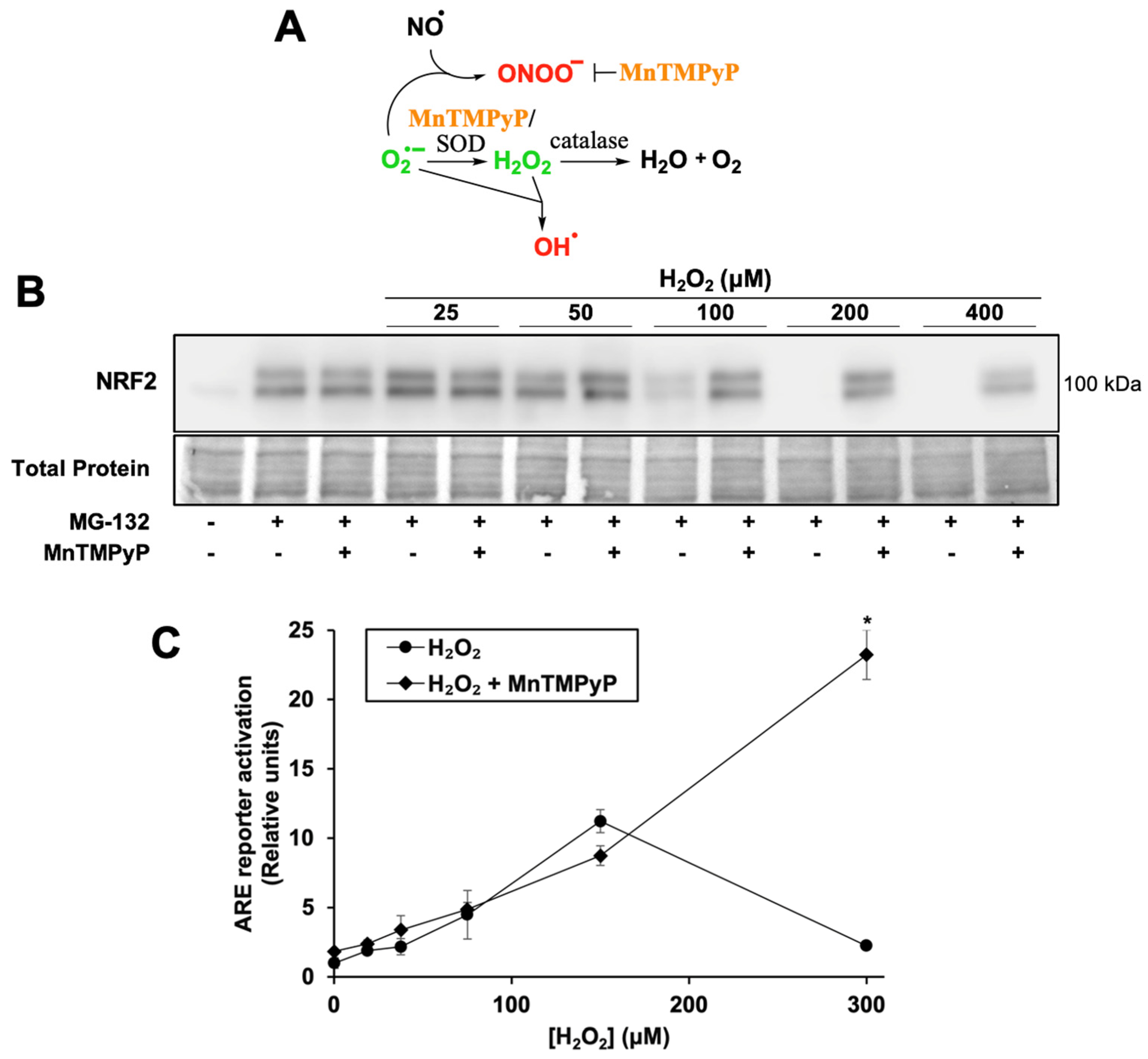 Antioxidants 12 01735 g002