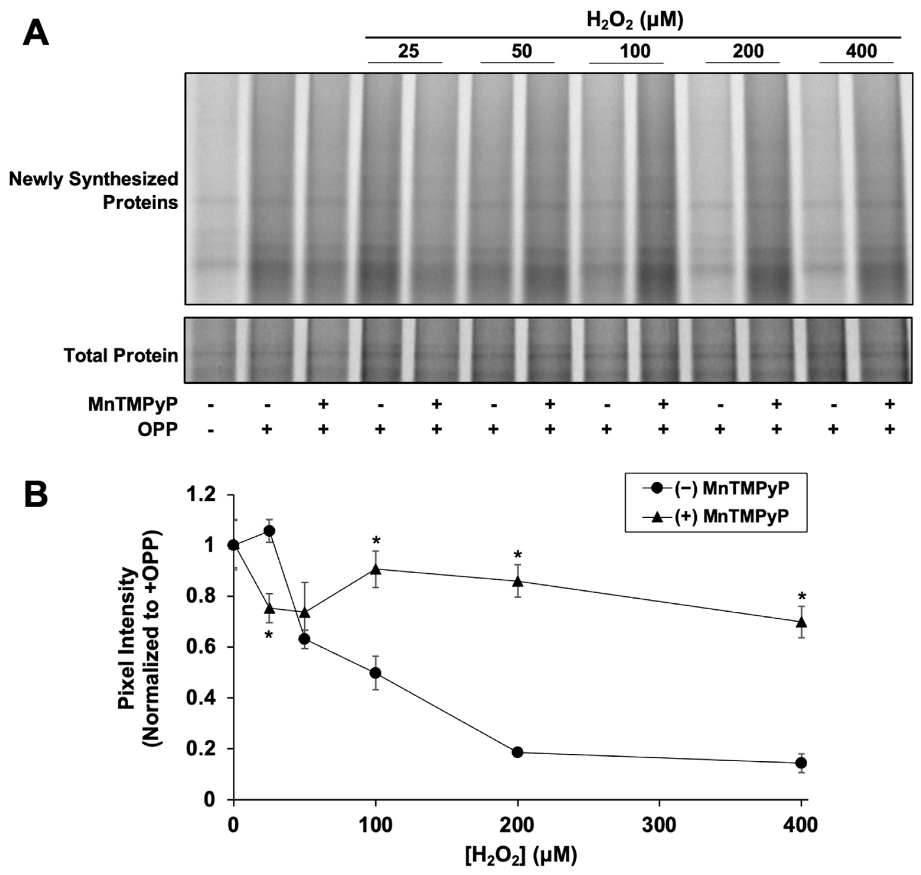 Antioxidants 12 01735 g003