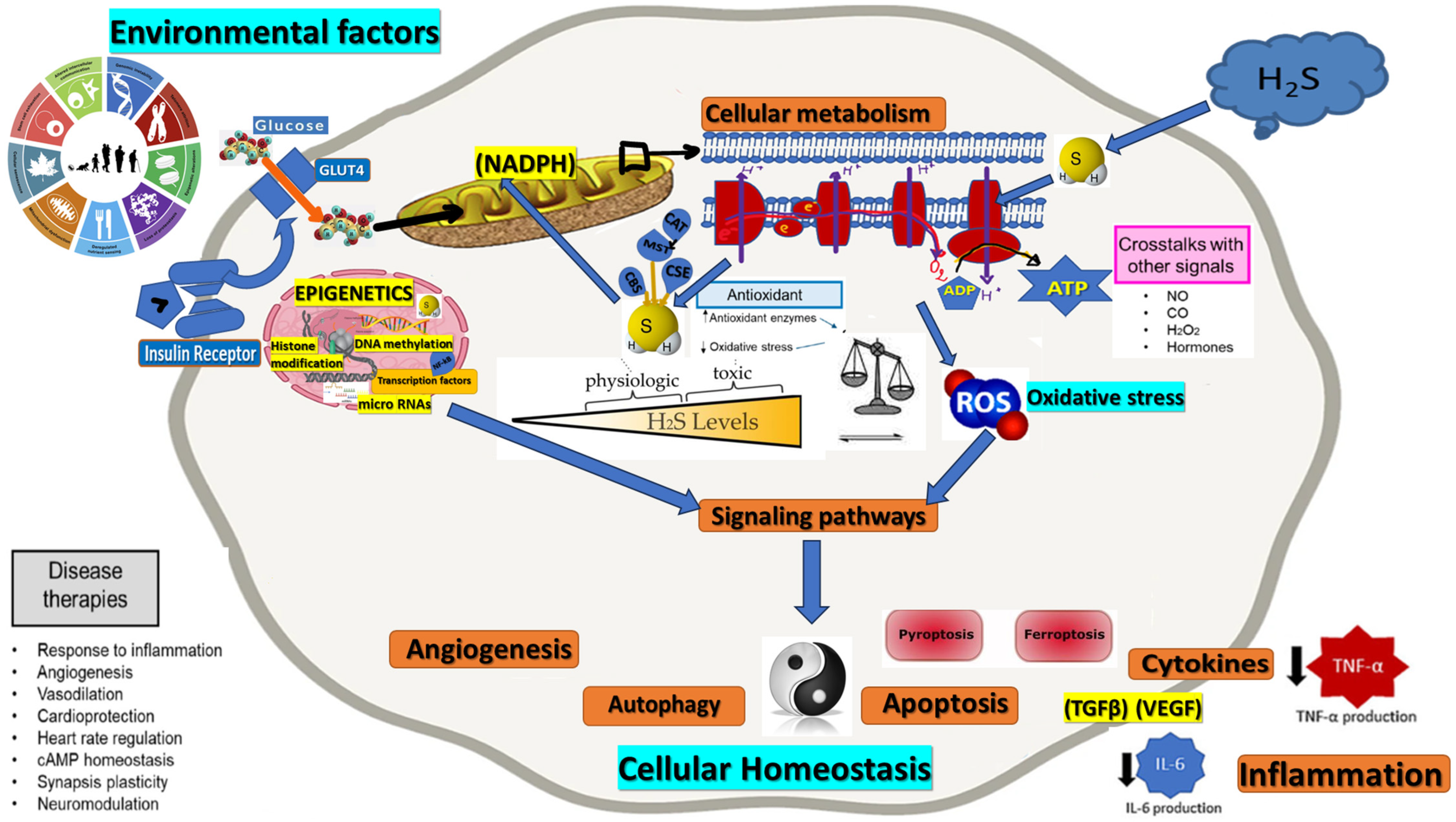 Antioxidants 12 01737 g001