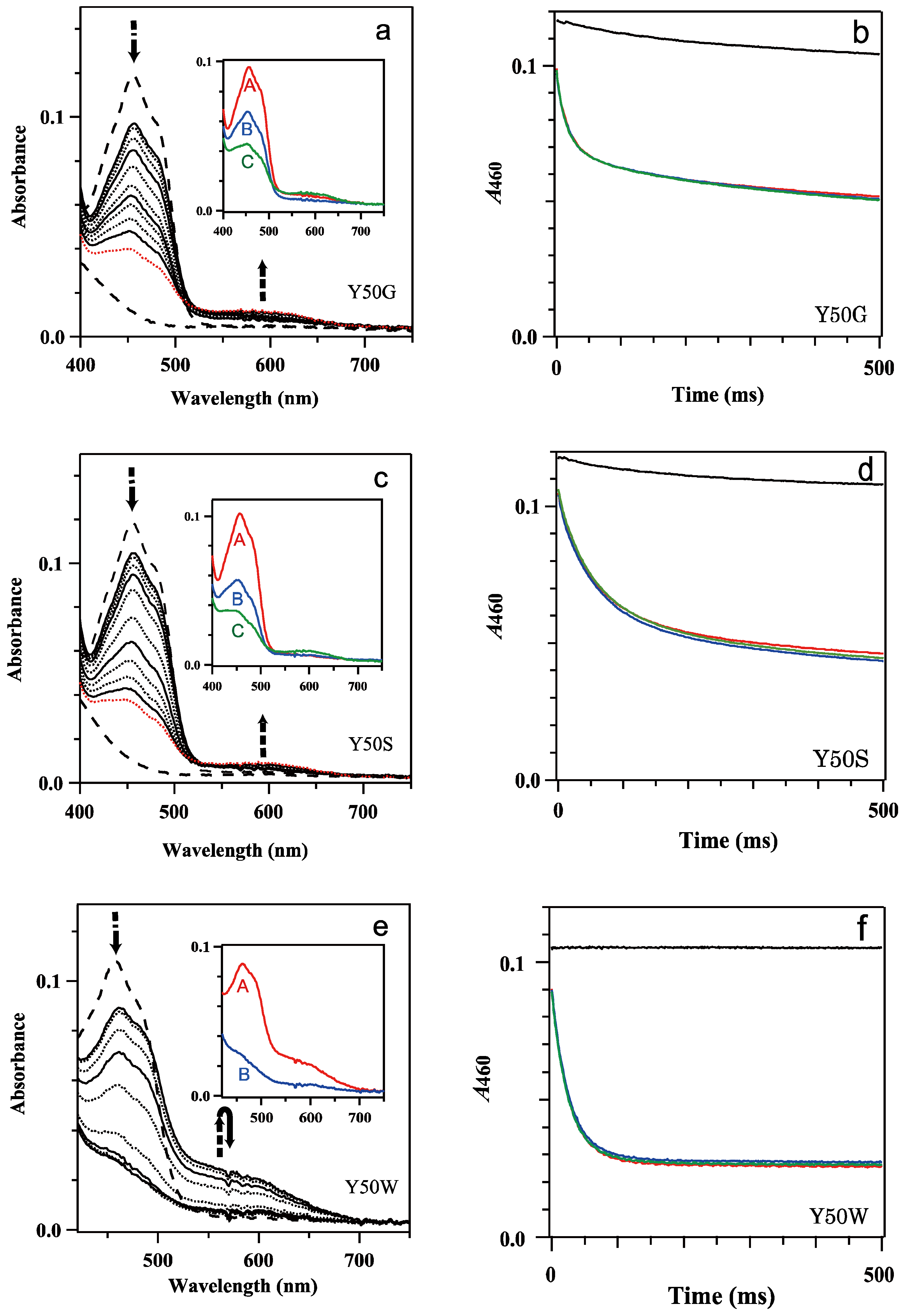 Antioxidants 12 01741 g002