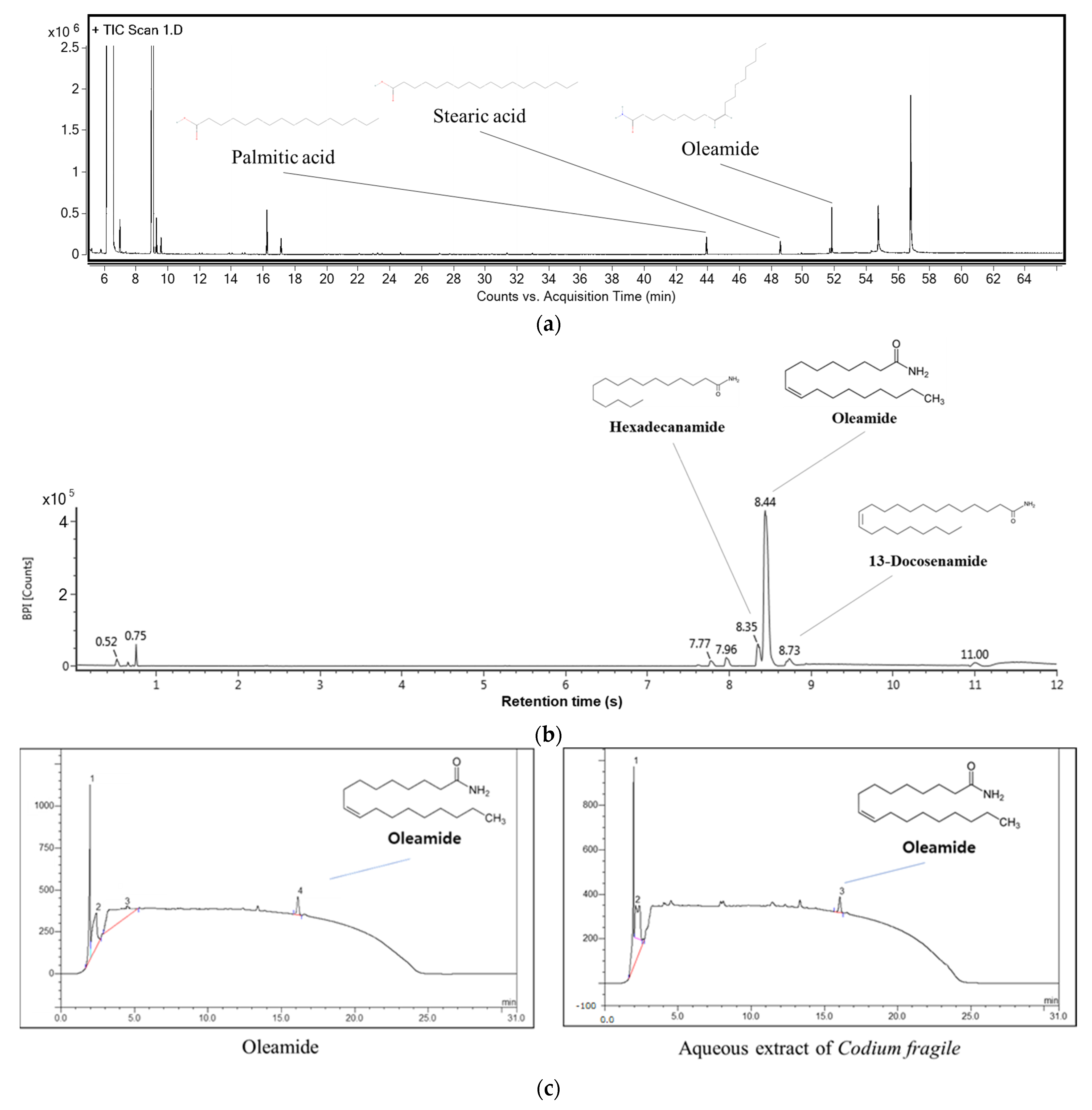 Antioxidants 12 01743 g002