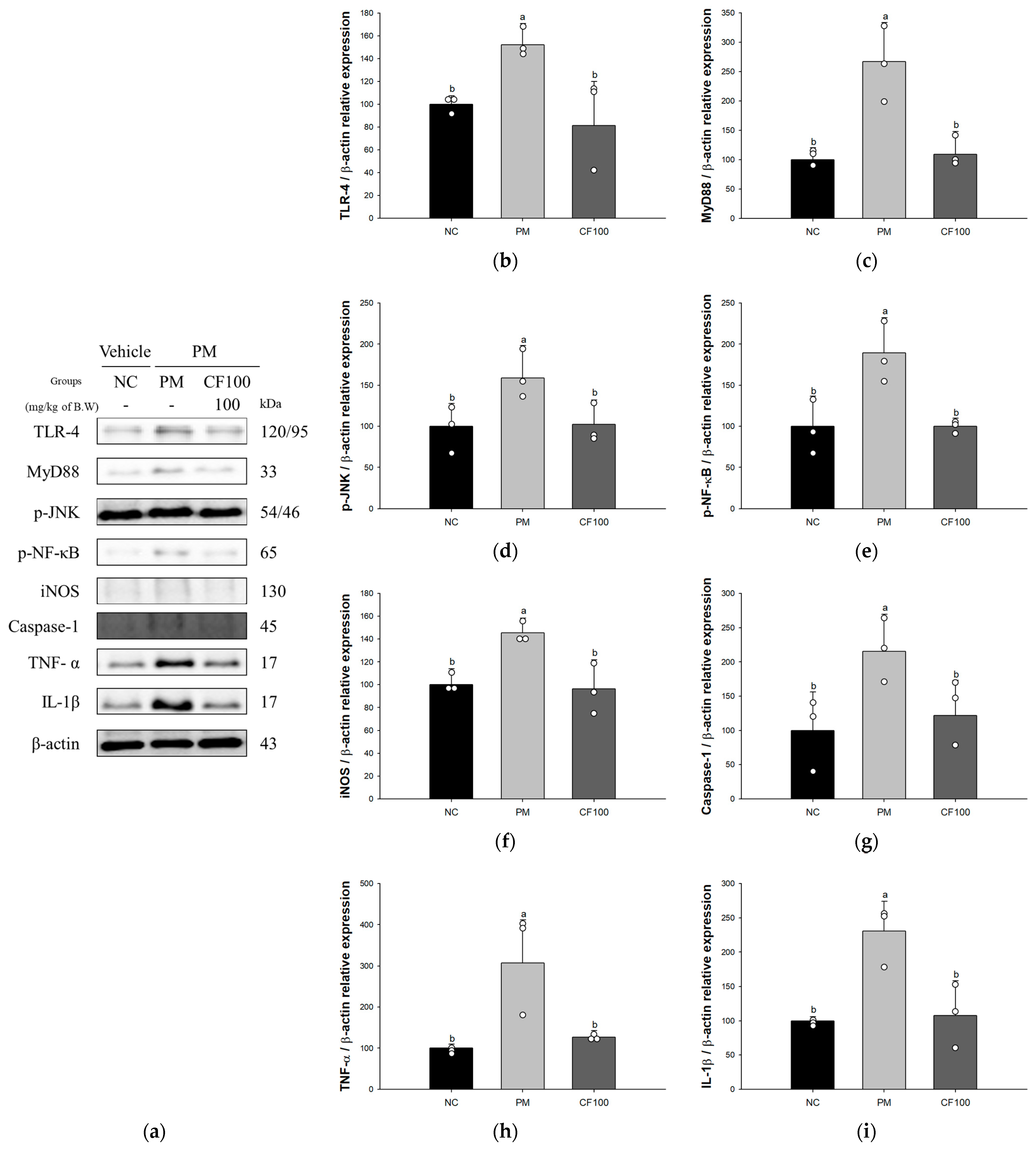 Antioxidants 12 01743 g005