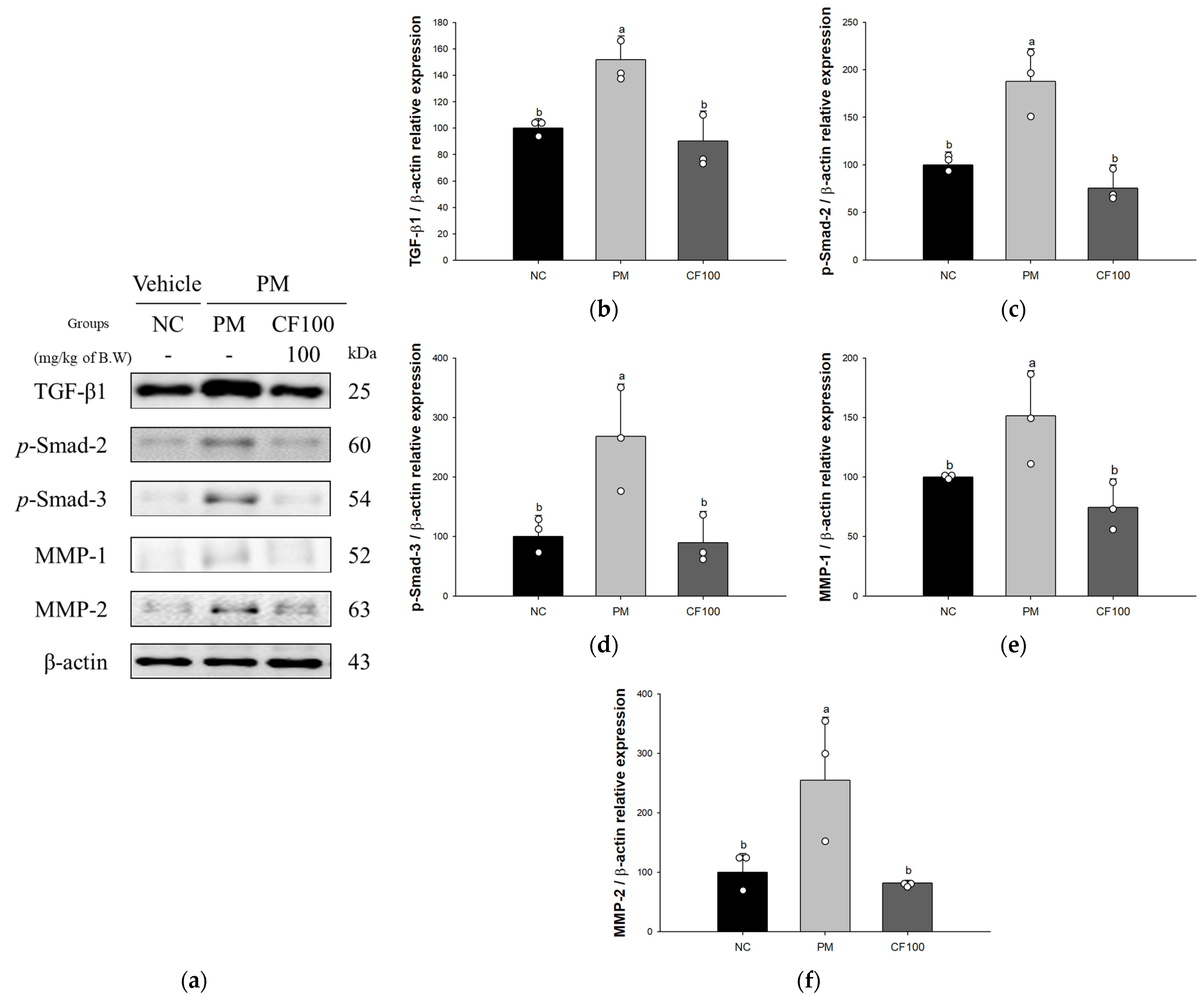 Antioxidants 12 01743 g007