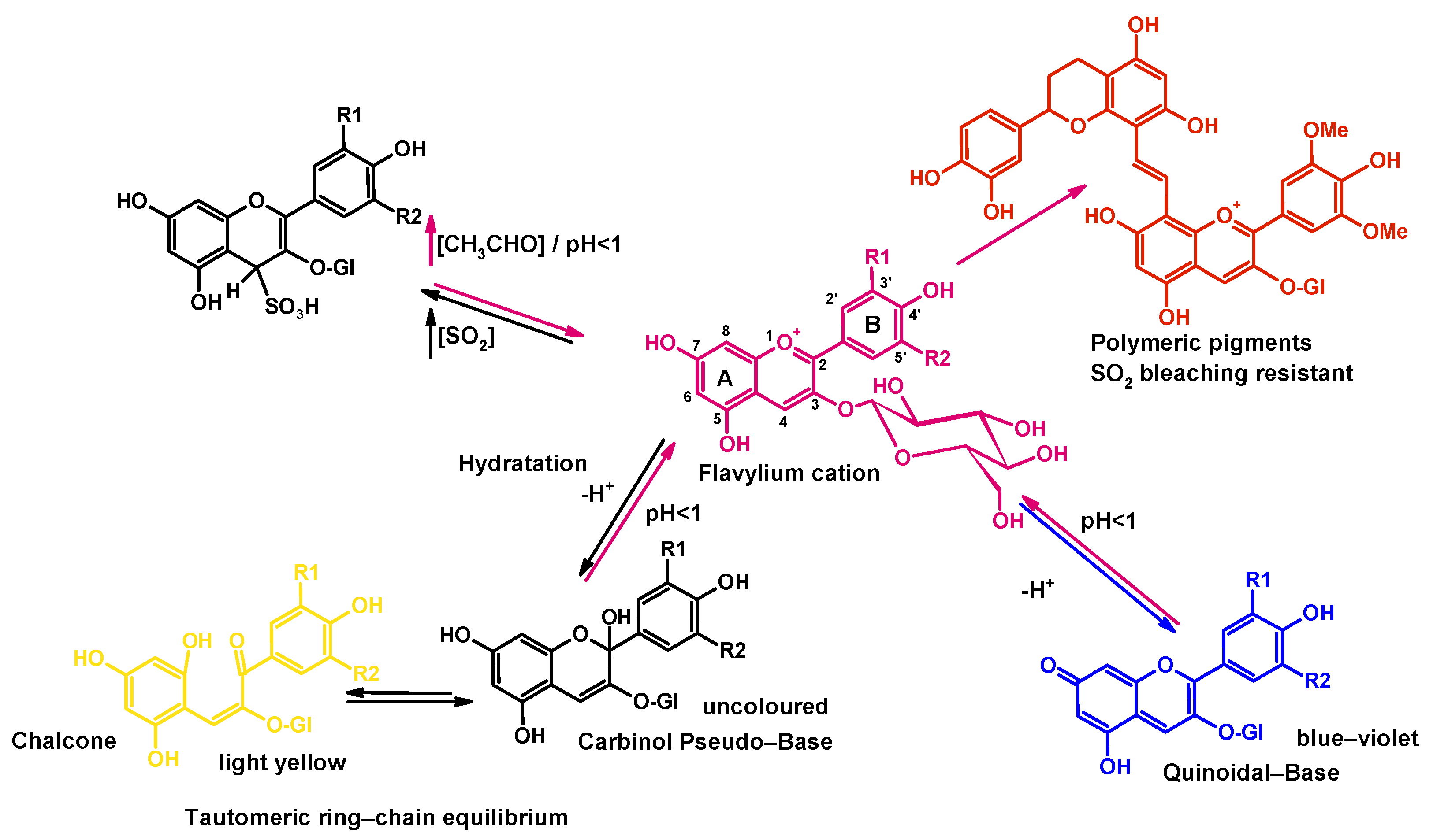 Antioxidants 12 01746 g001