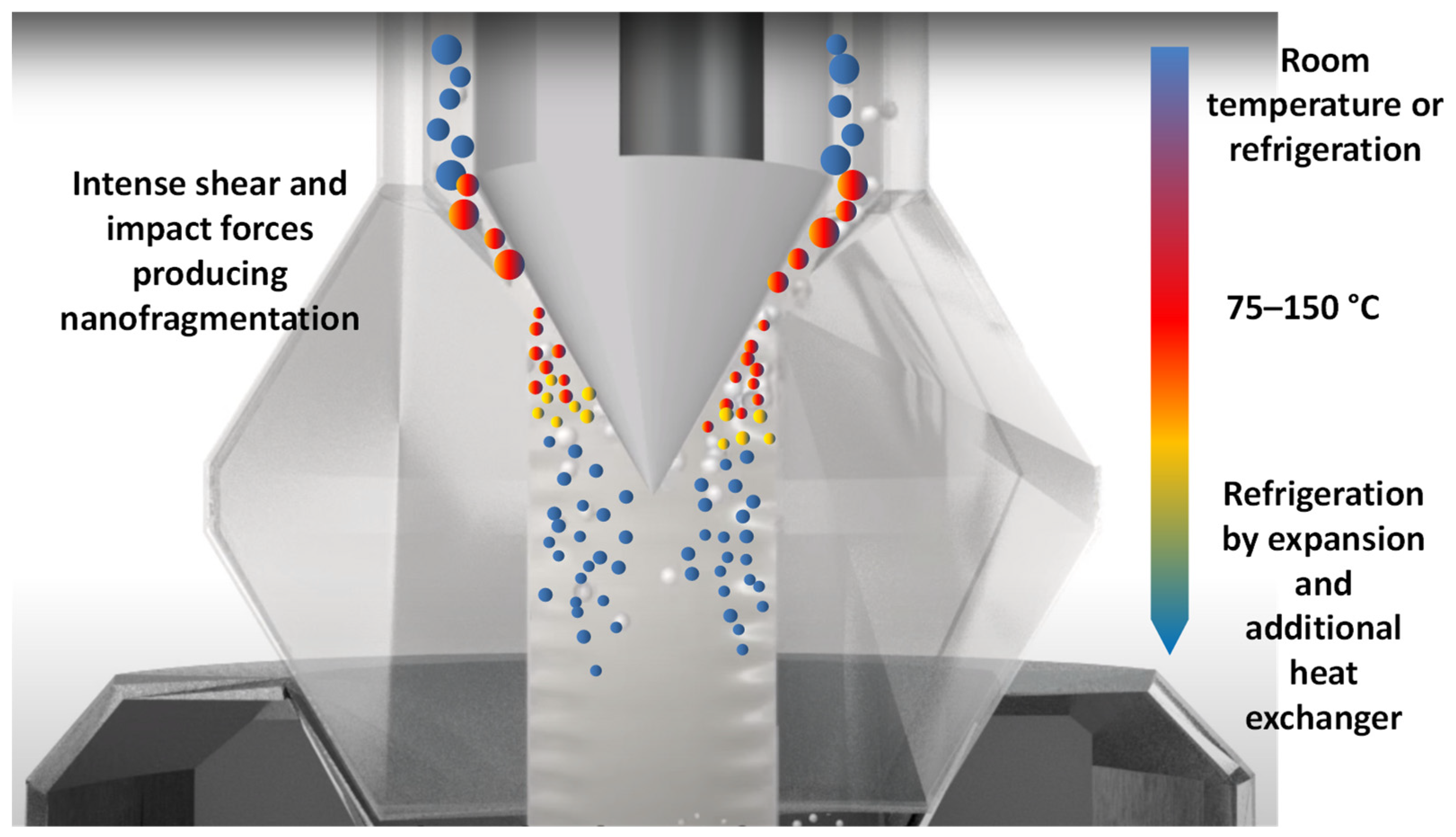 Antioxidants 12 01746 g003