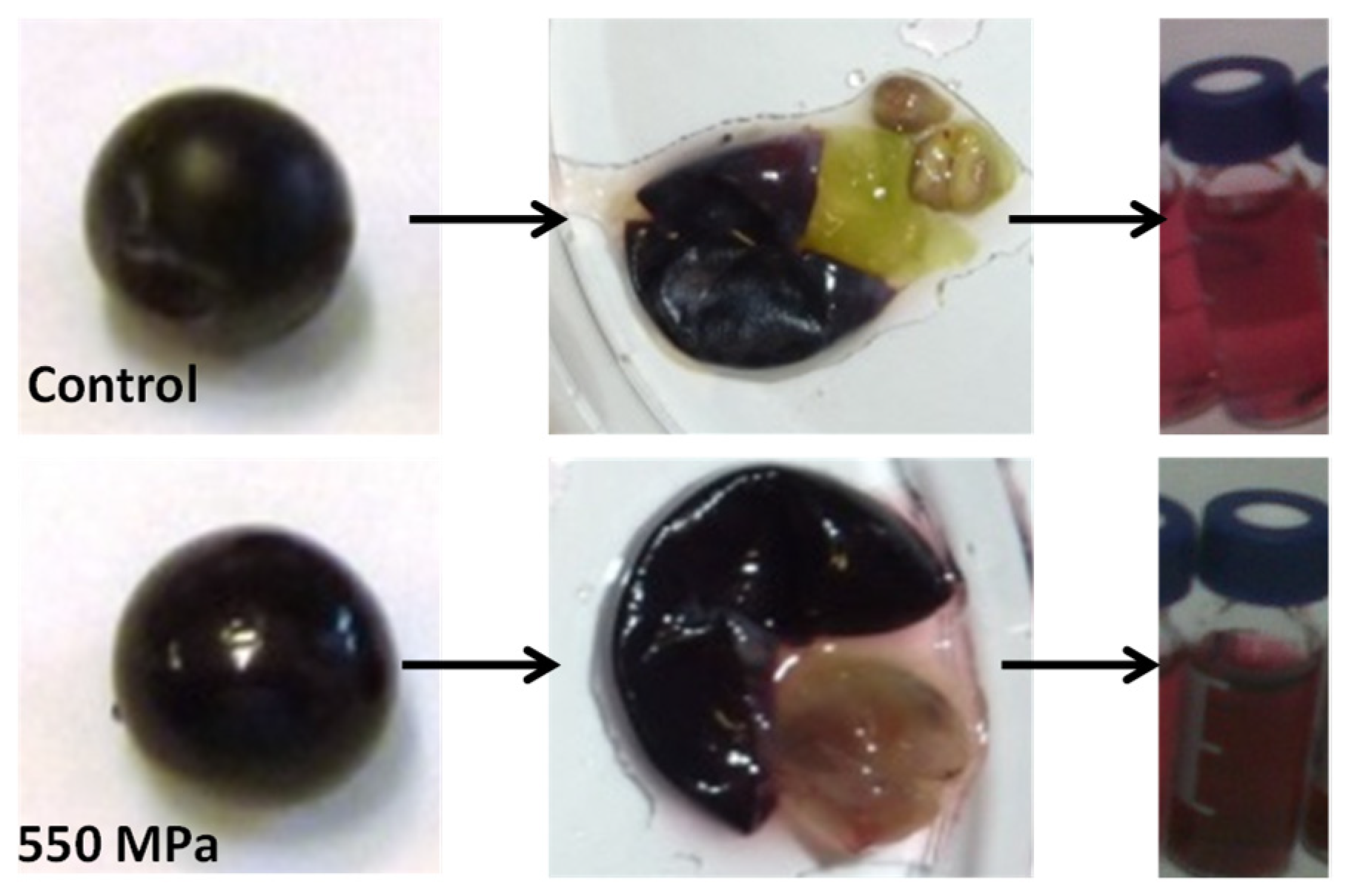 Antioxidants 12 01746 g004